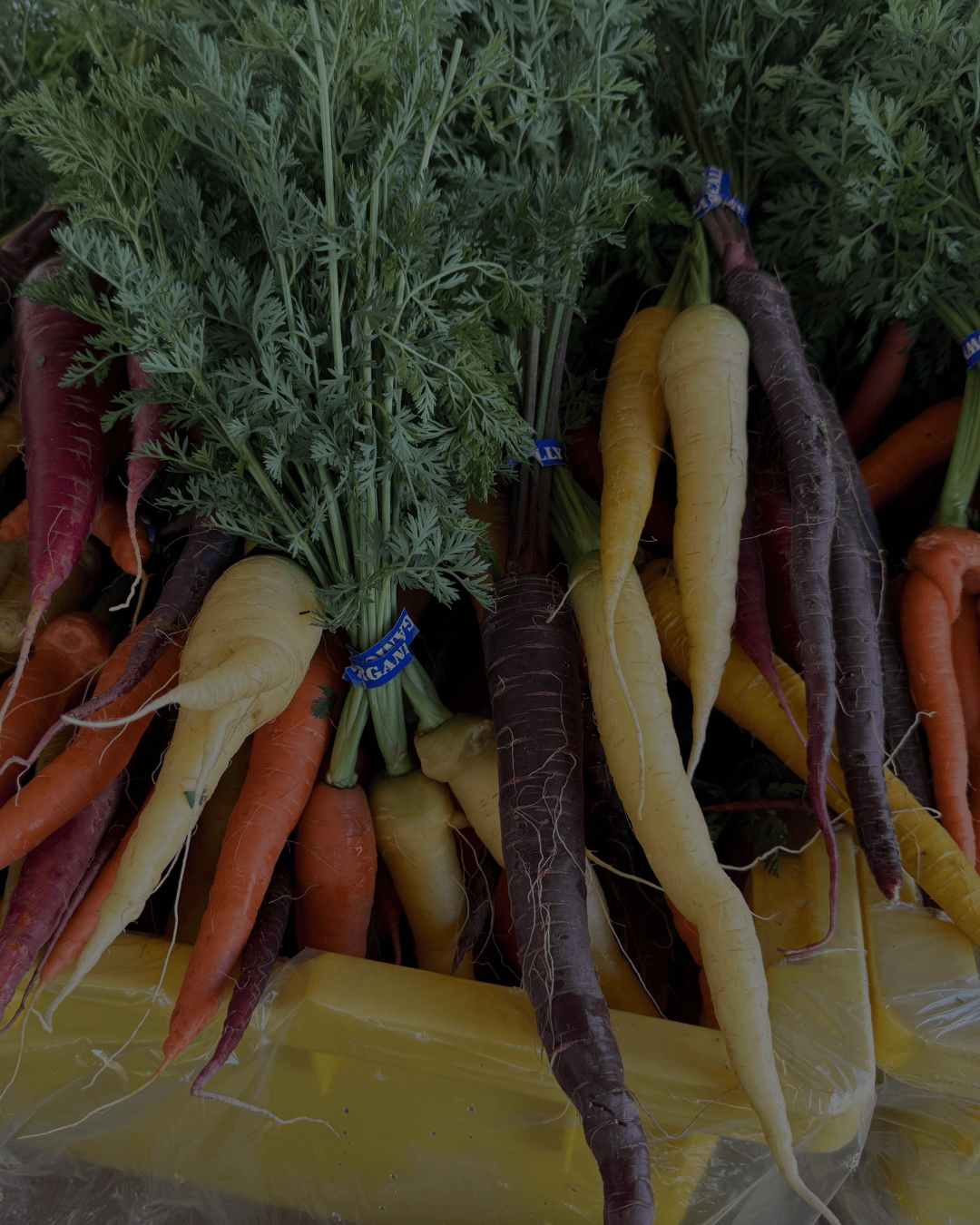 a photo of multicolored carrots in a yellow bin representing simplifying food during times of overwhelm.