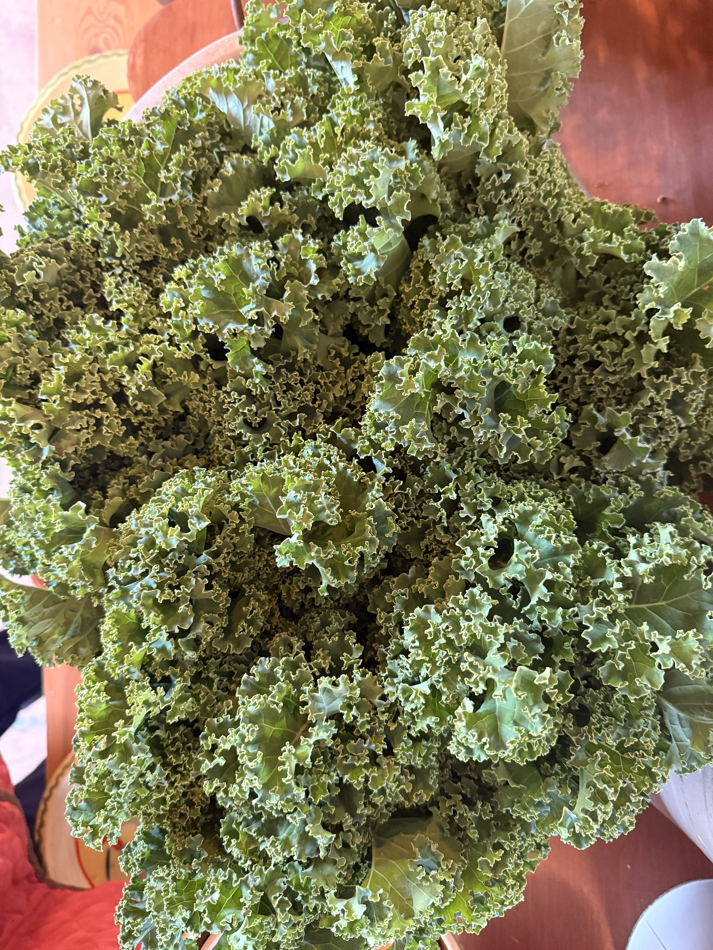Organic Curly Kale