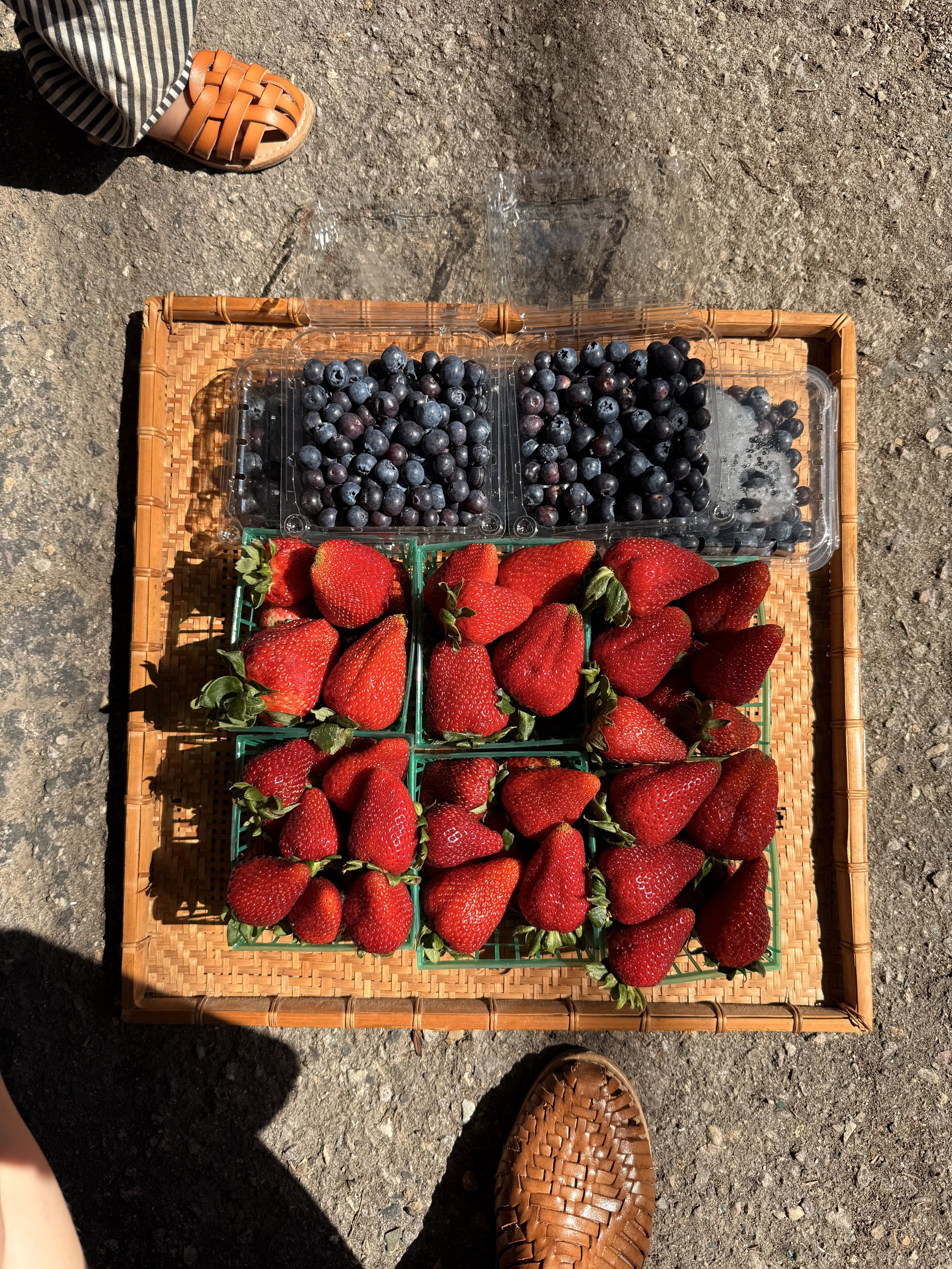 Organic Strawberries