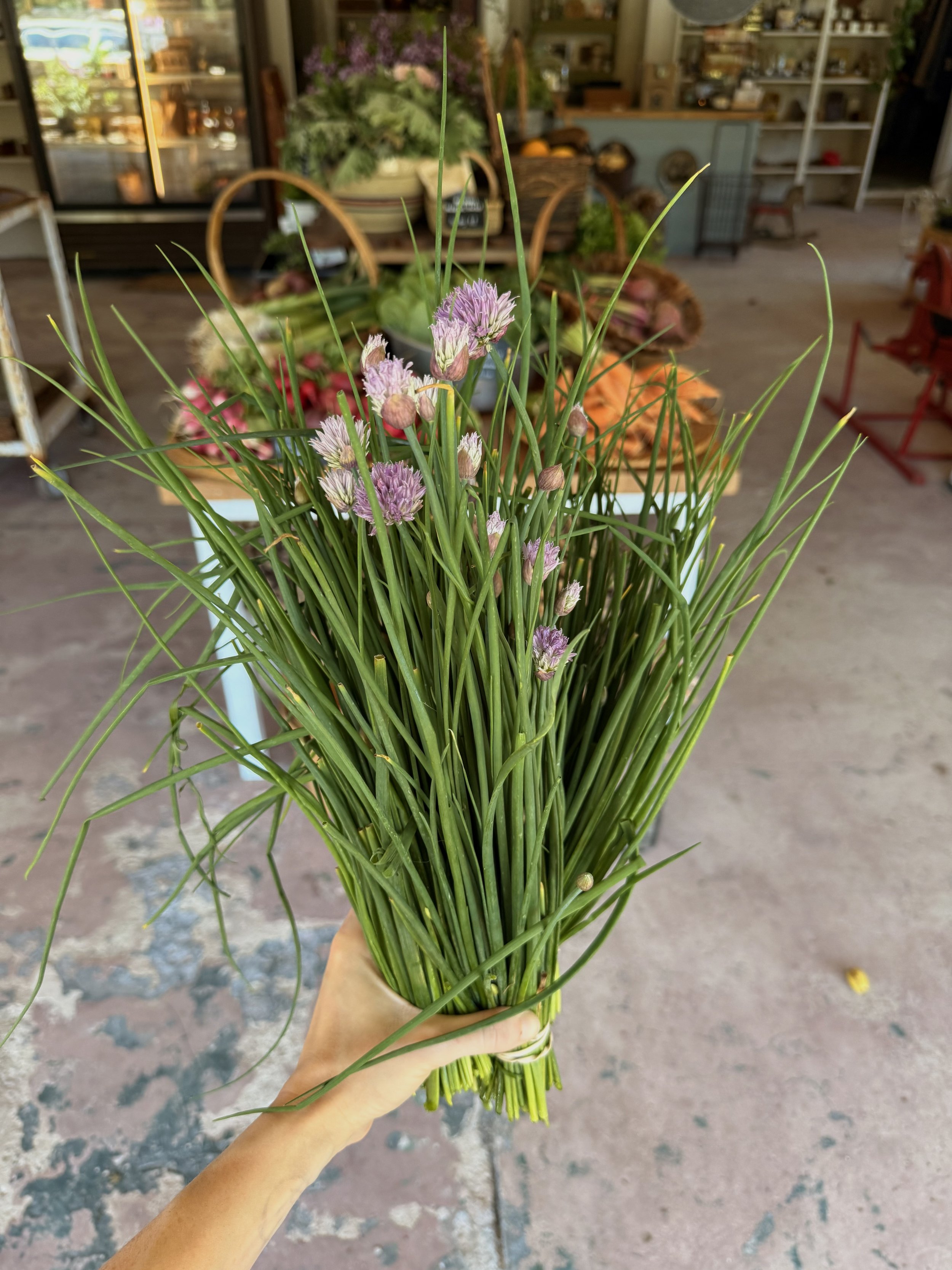 Organic Chives / Green Onion