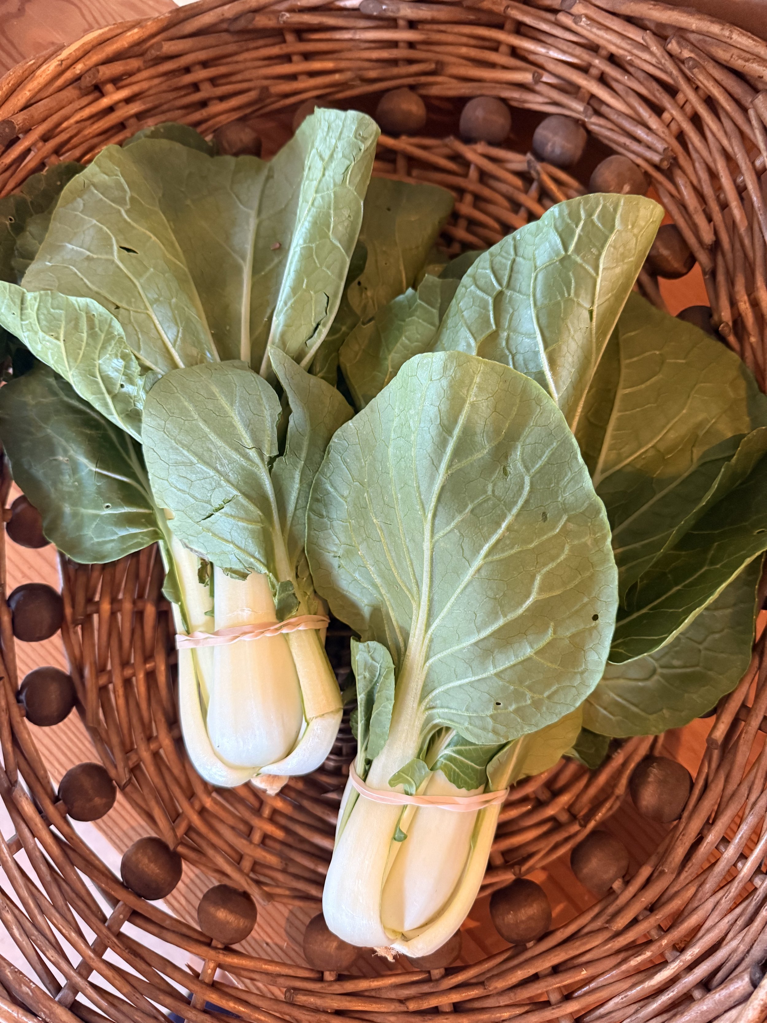 Organic Bok Choy