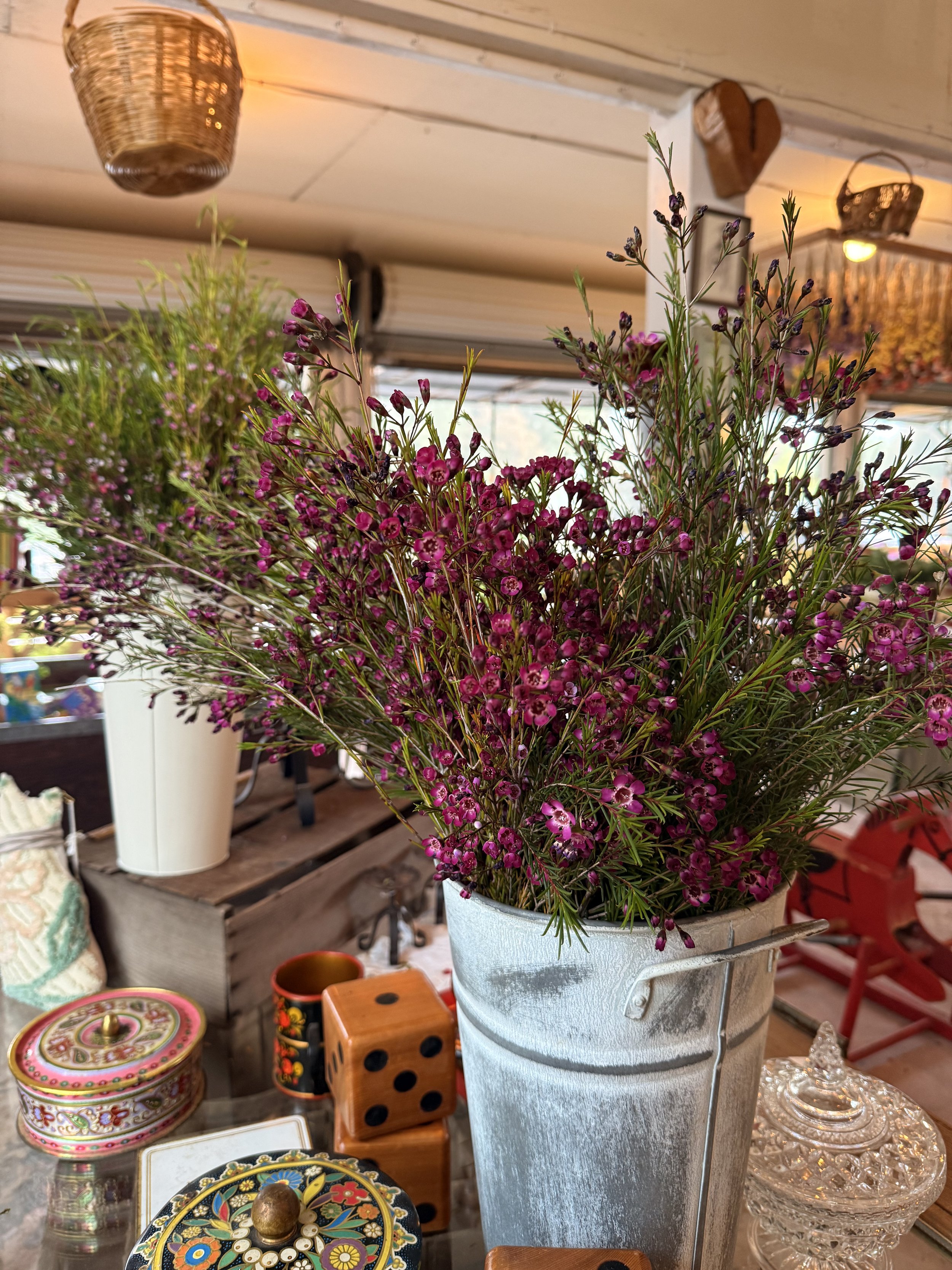 Wax Flower Bunch