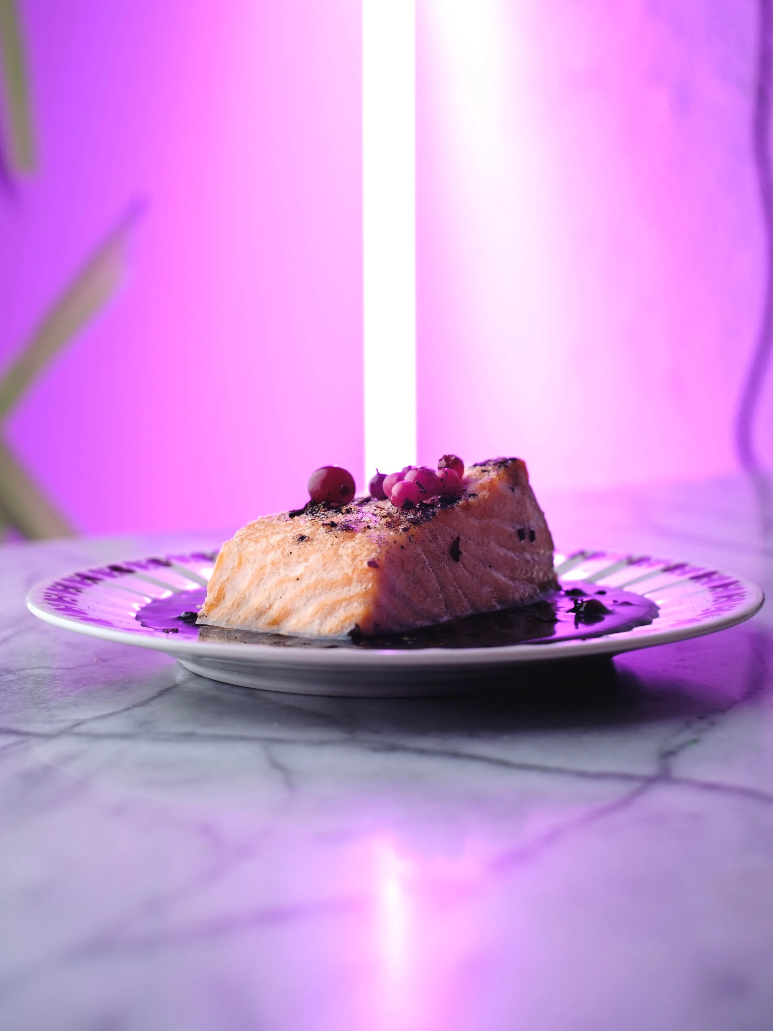 A slice of salmon with purple berries and sauce on a white plate with purple and pink lighting in the background.