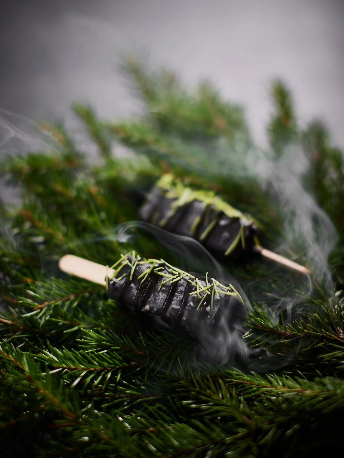 Chocolate-covered ice cream popsicles garnished with fresh herbs, resting on pine branches, with wisps of smoke or vapor around them.