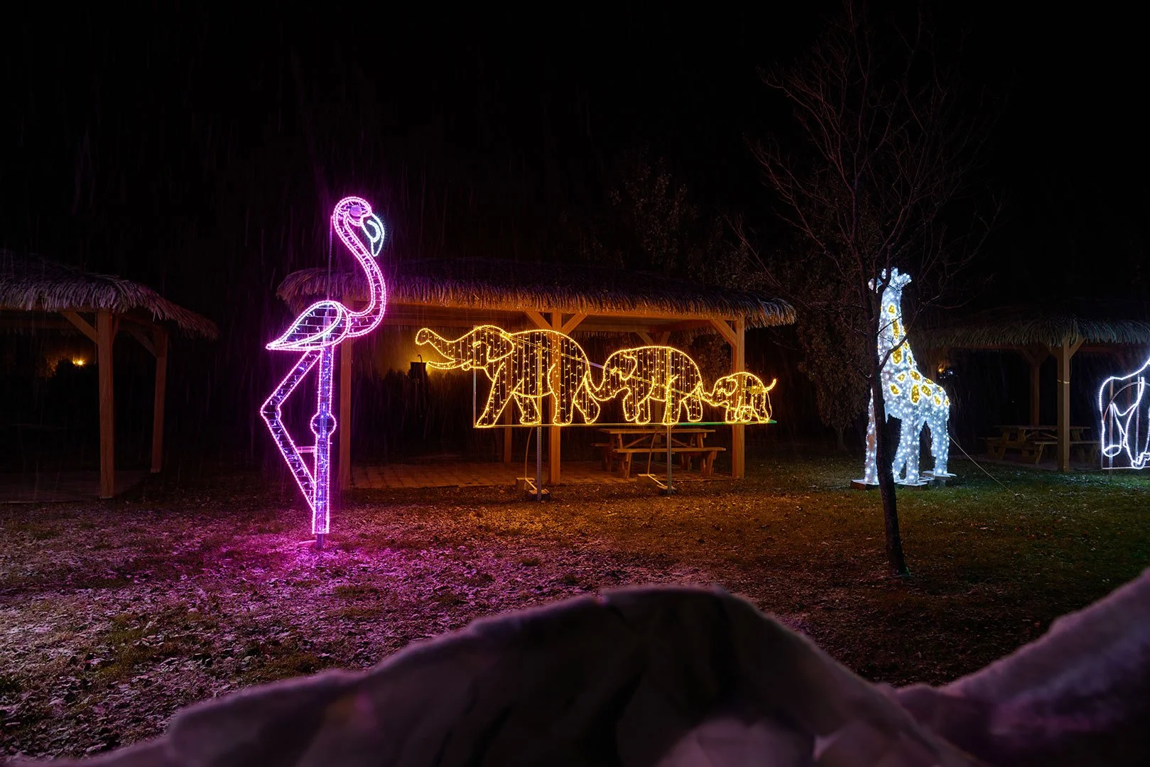 Parc Safari
- Stéphane Lafrance -