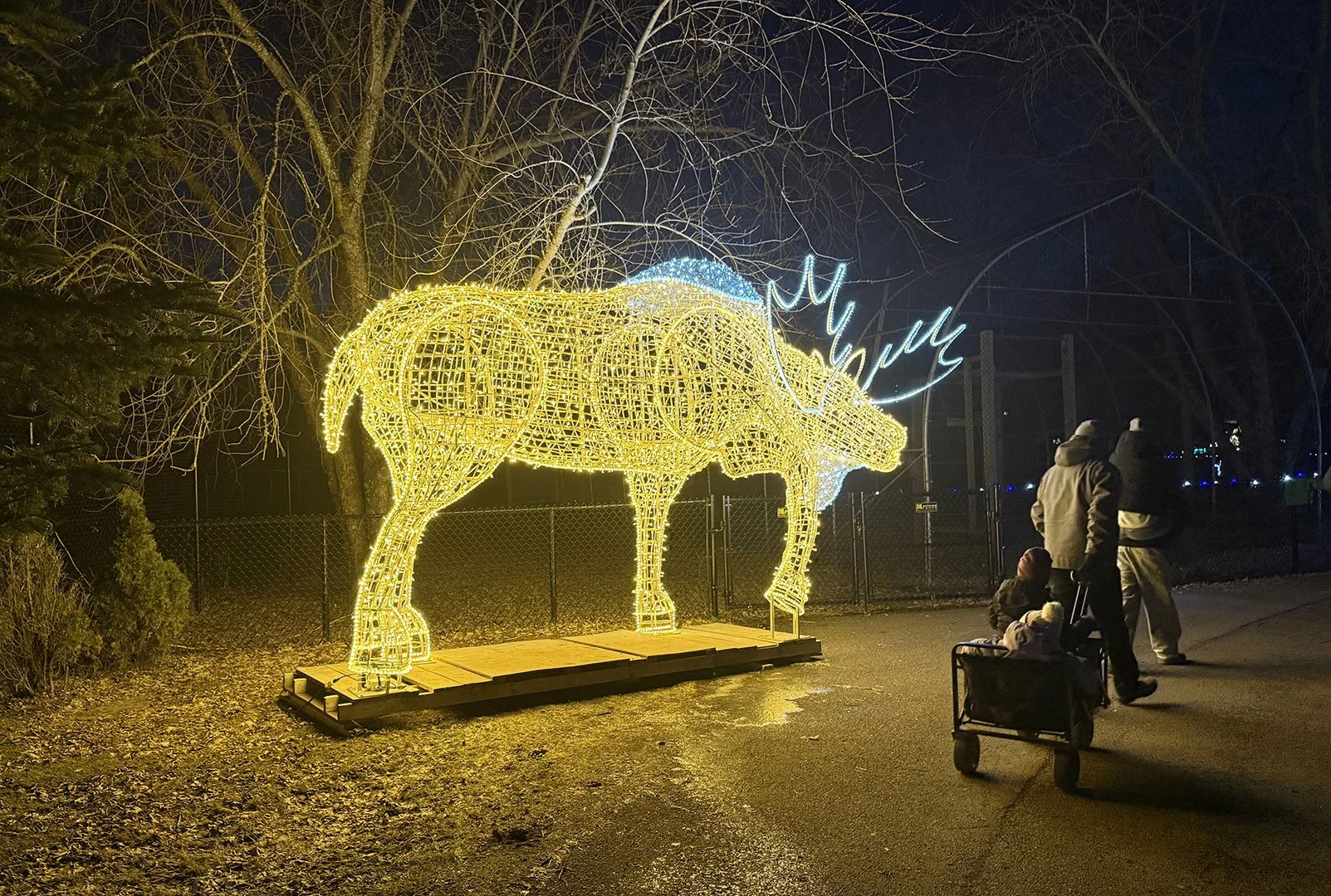 Moncton
- Zoo de Magnetic Hill -