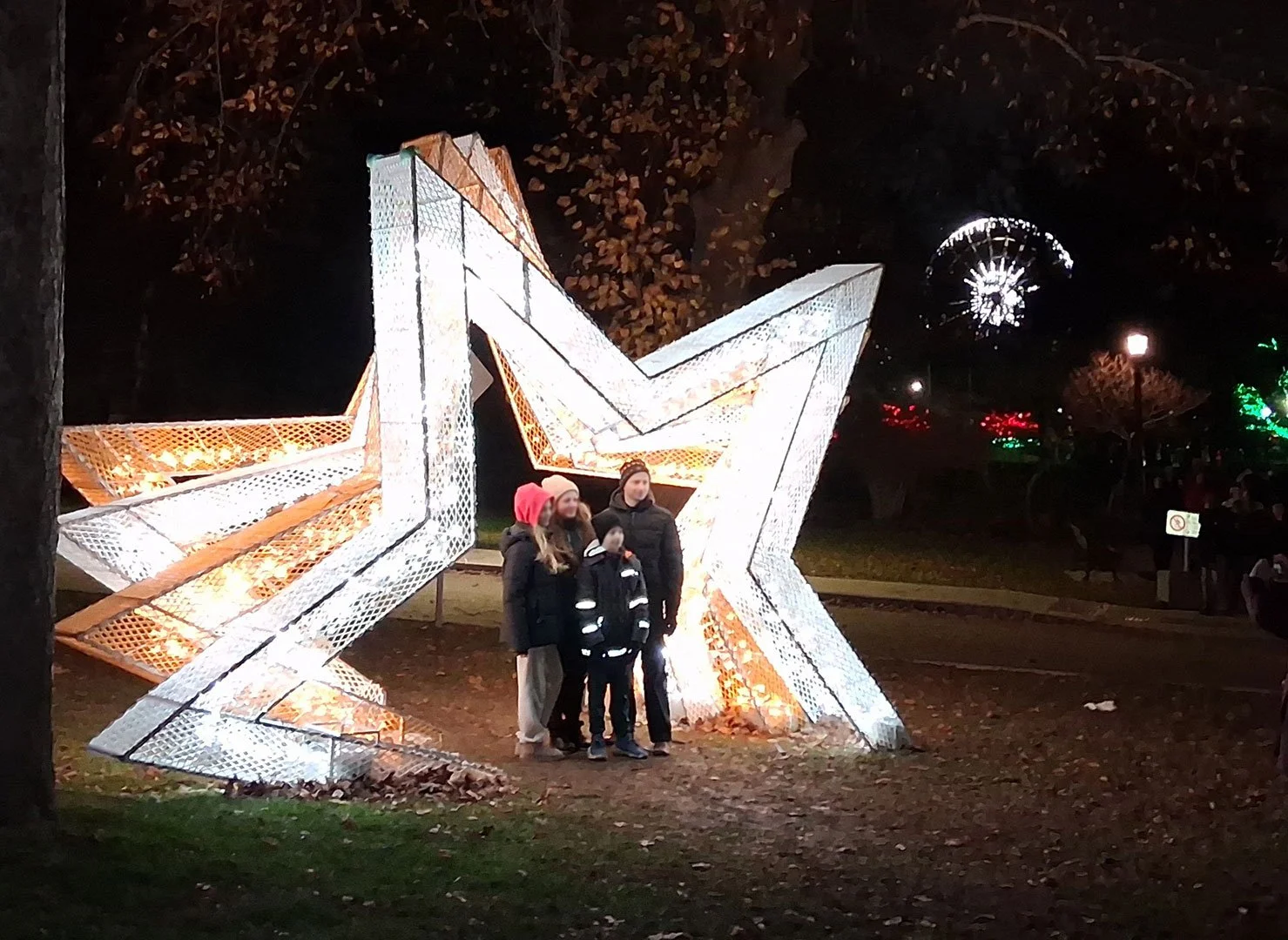Niagara Falls
- Winter Festival of Lights -