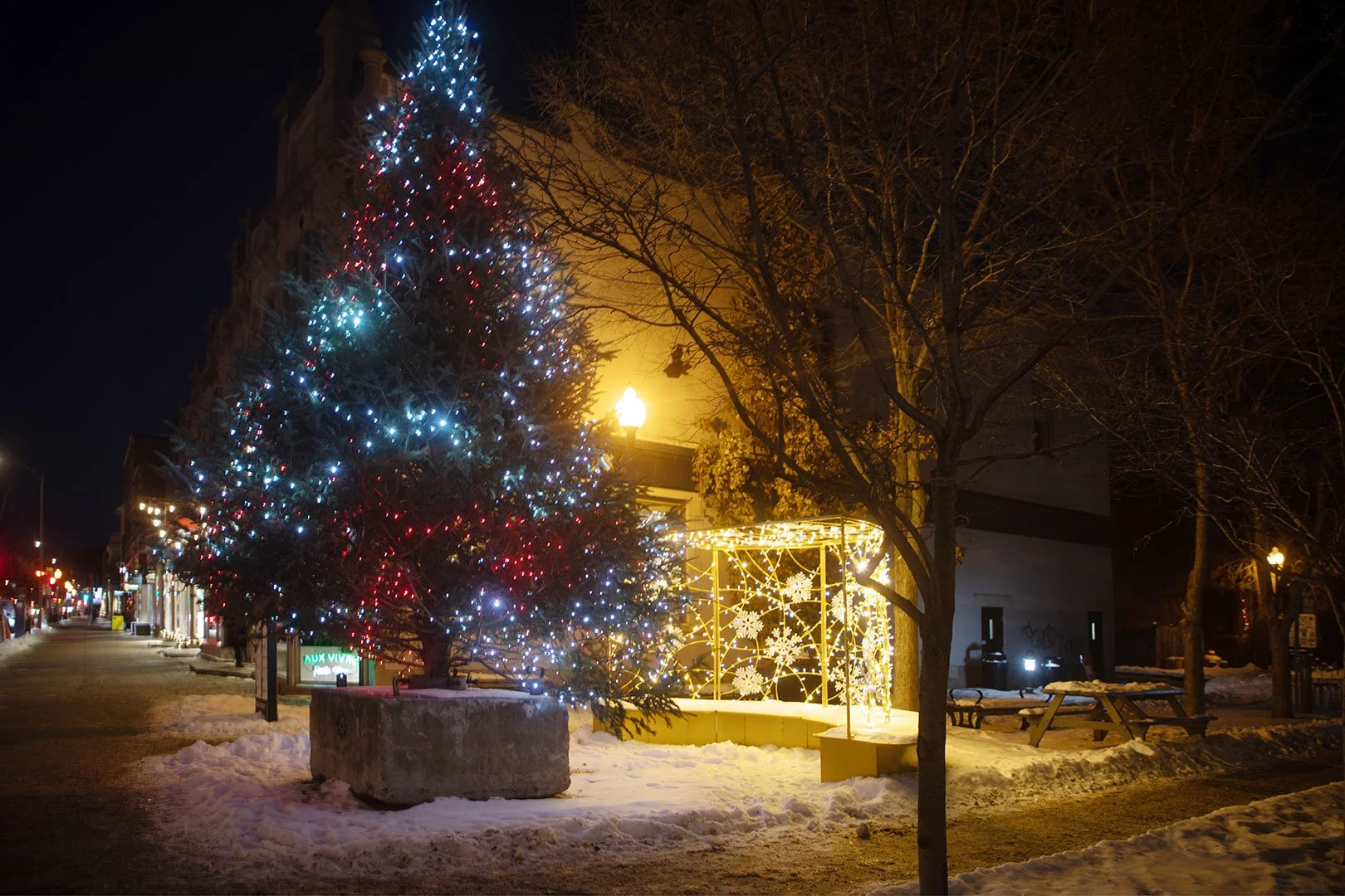 Westmount - Montréal
- Viviane Hervieux -