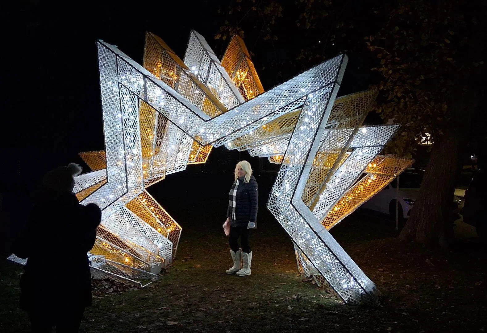 Niagara Falls
- Winter Festival of Lights -