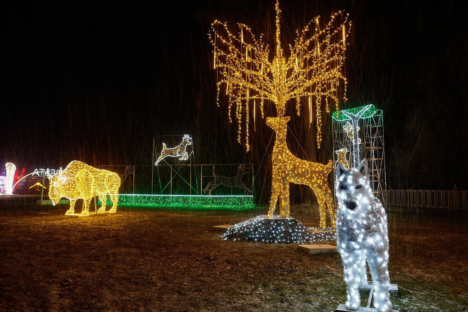 Parc Safari
- Stéphane Lafrance -