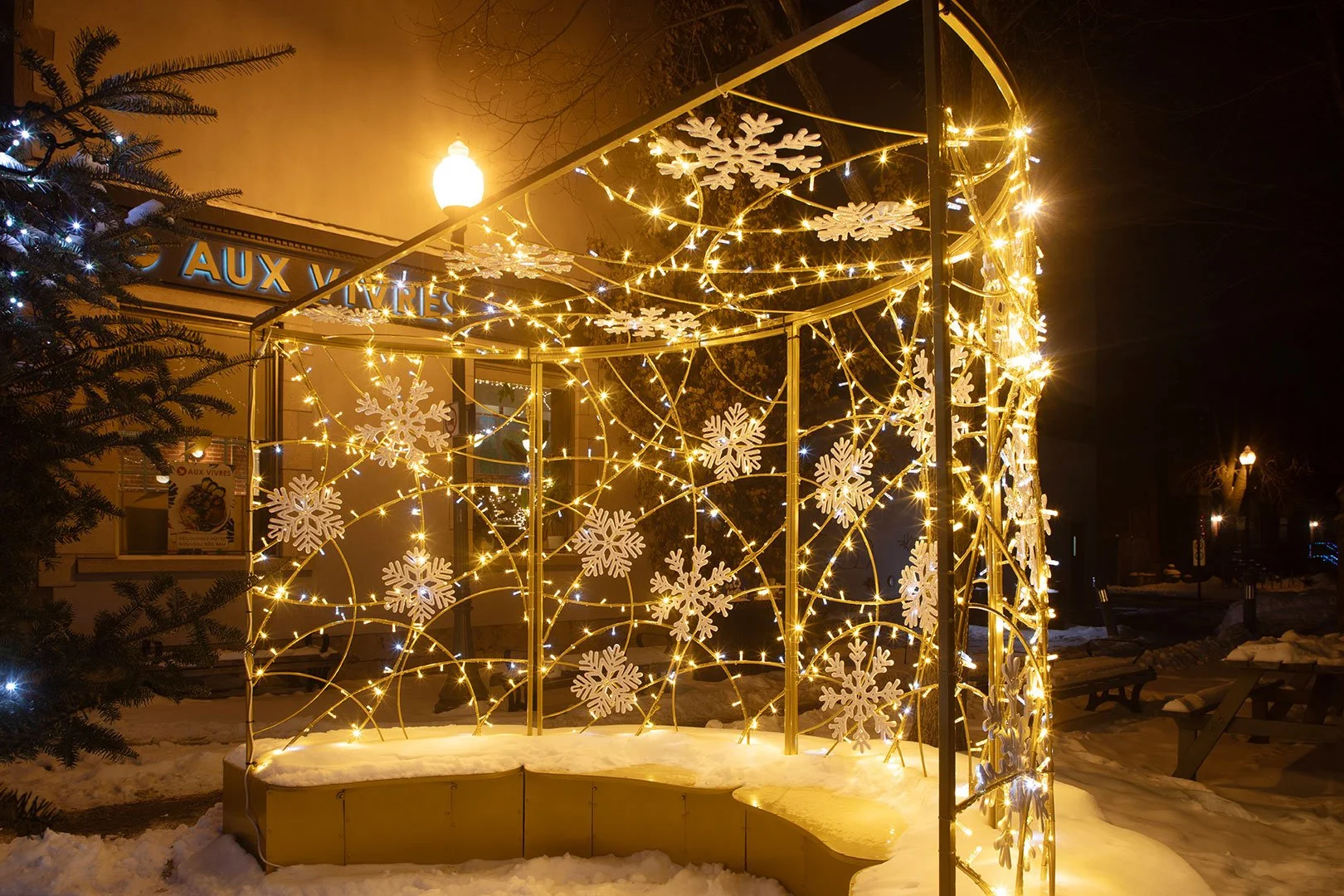 Westmount - Montréal
- Viviane Hervieux -
