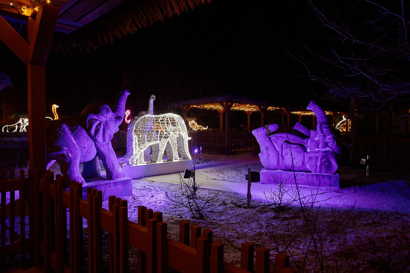 Parc Safari
- Stéphane Lafrance -