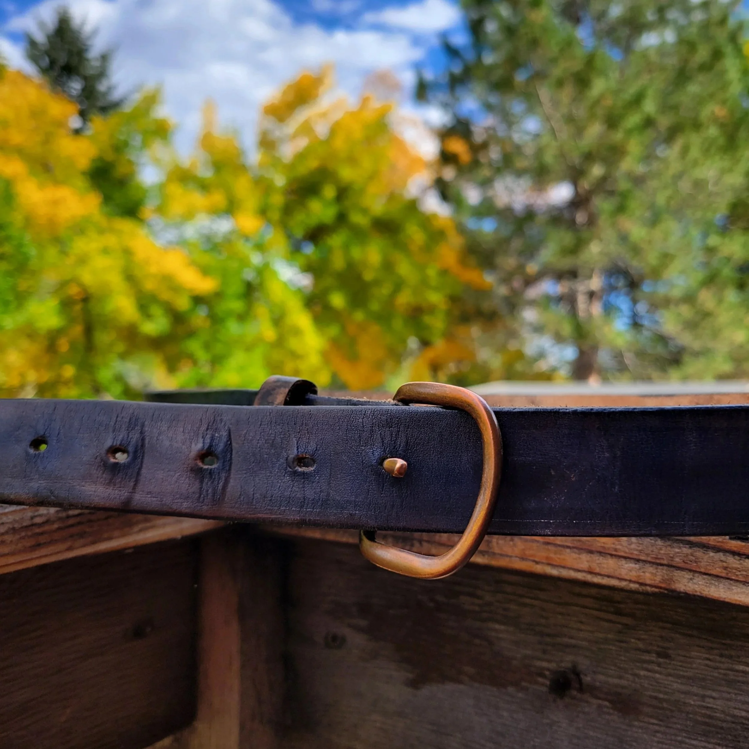 belts3.jpg