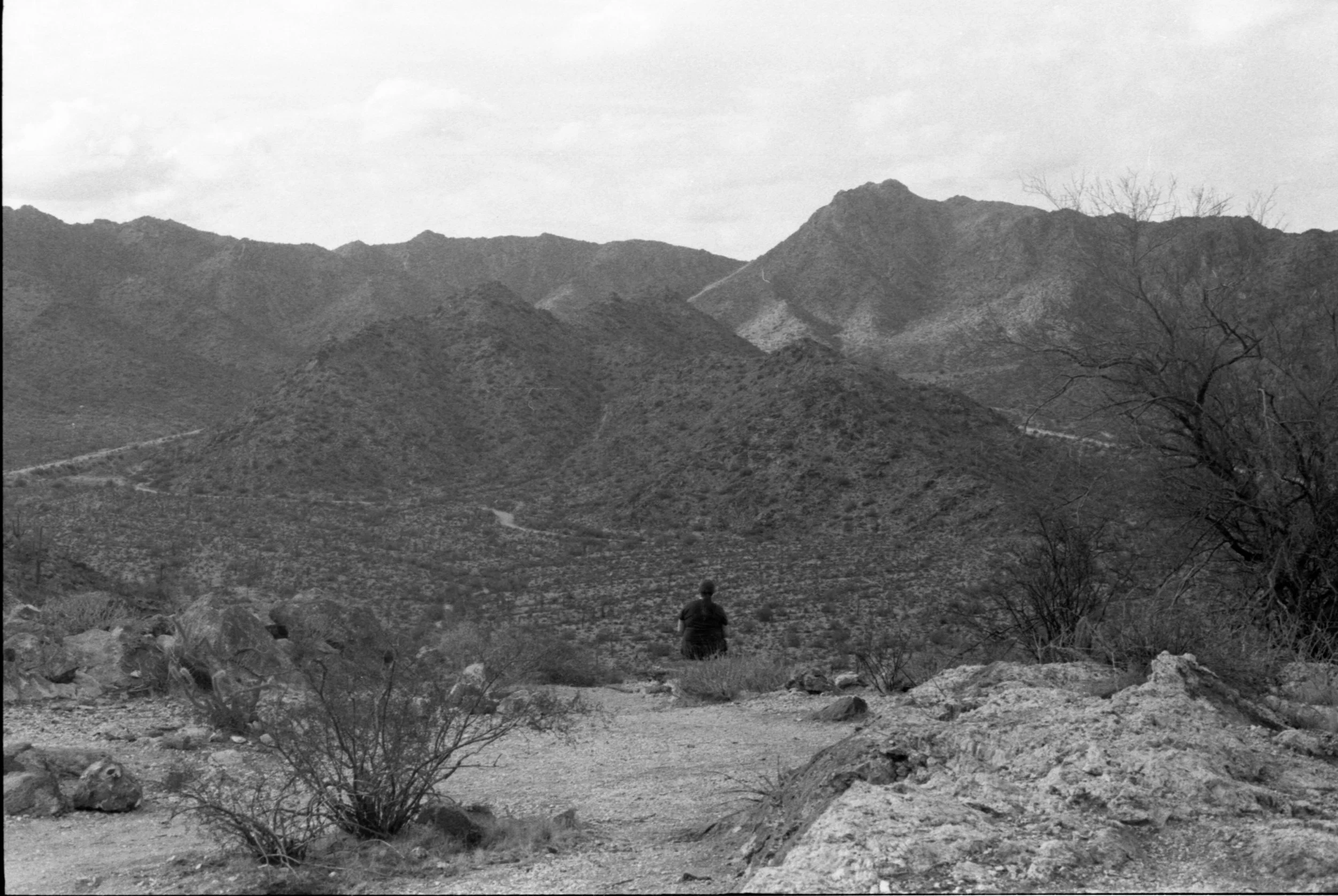 Arizona0027 copy.jpg