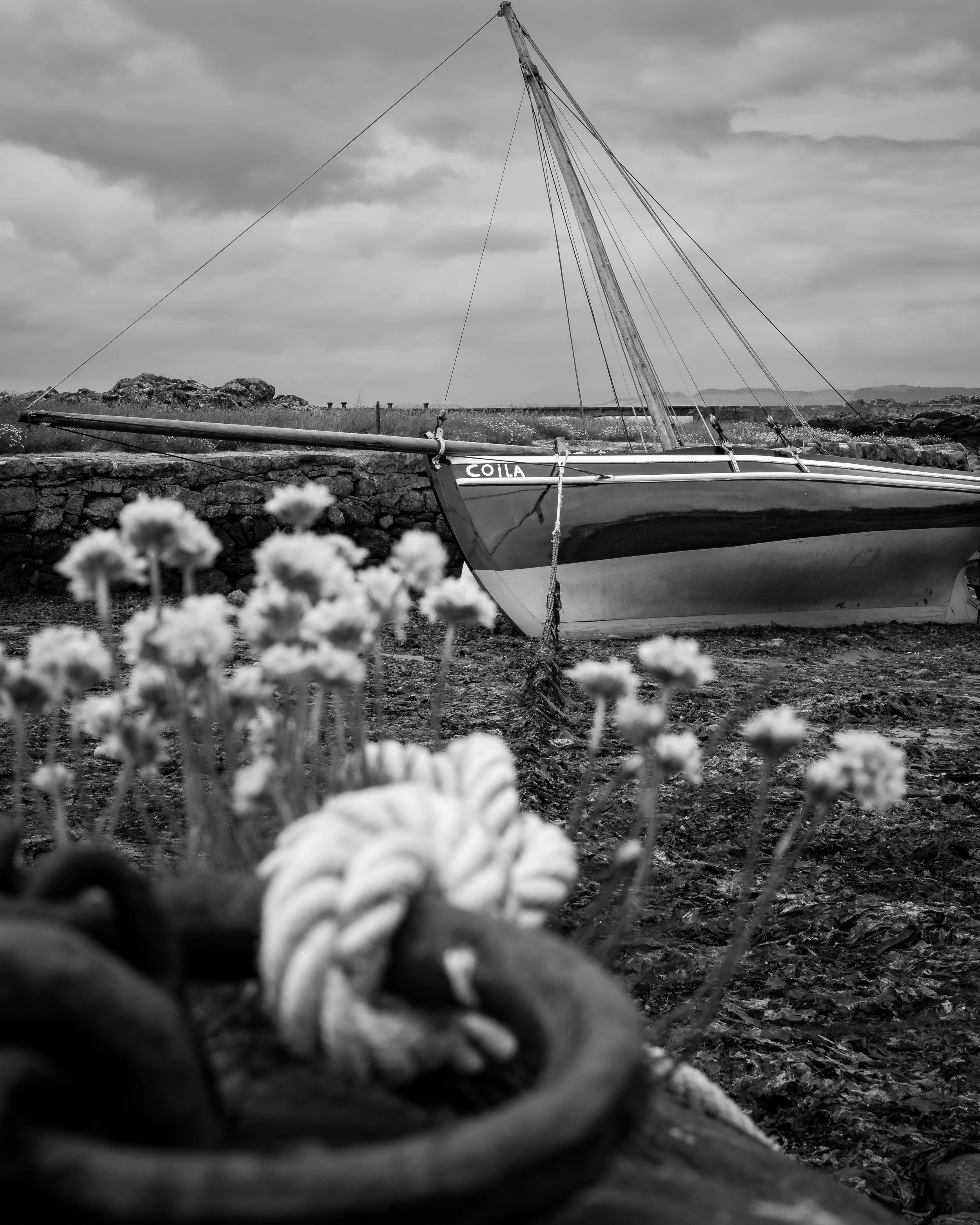 Coila Sailing Boat, Portencross