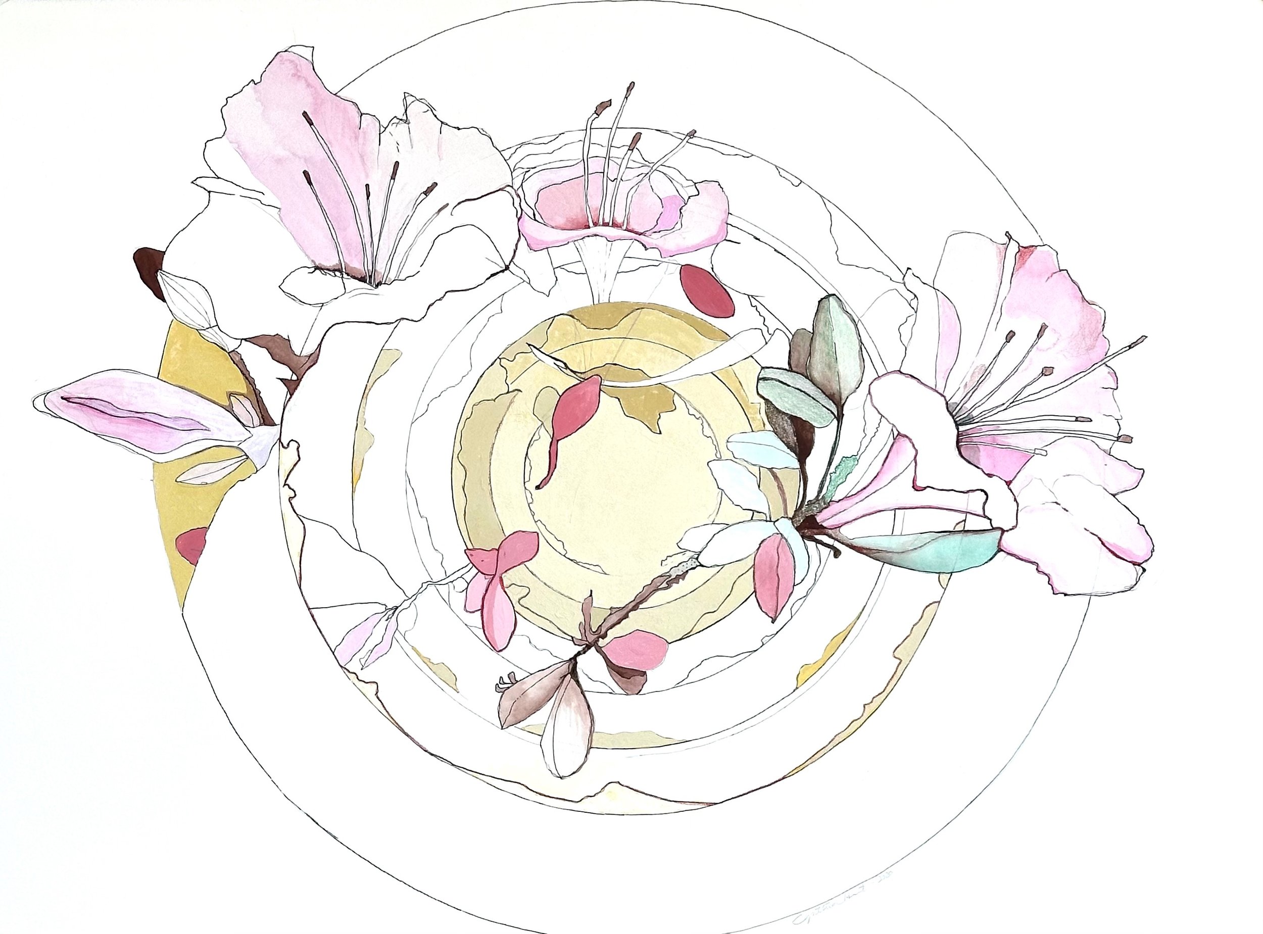 spring cycle