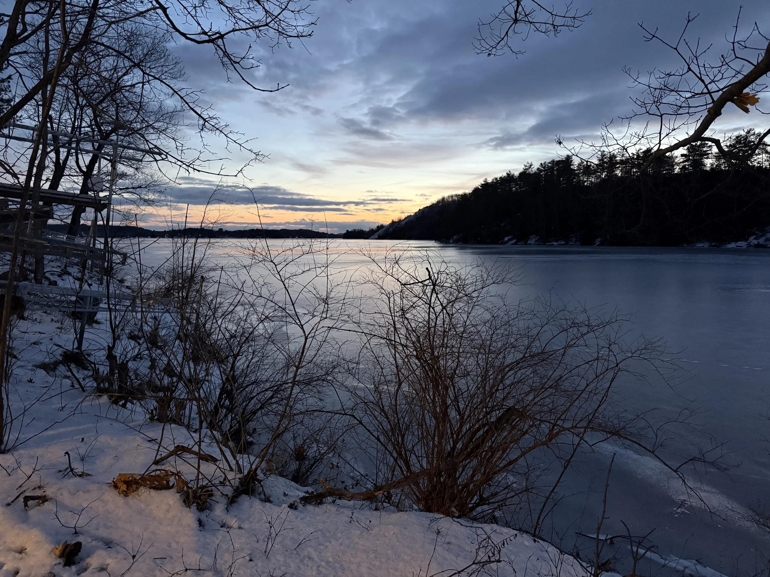 Lake Bomoseen Association Releases 2025 Aquatic Plant Survey Results