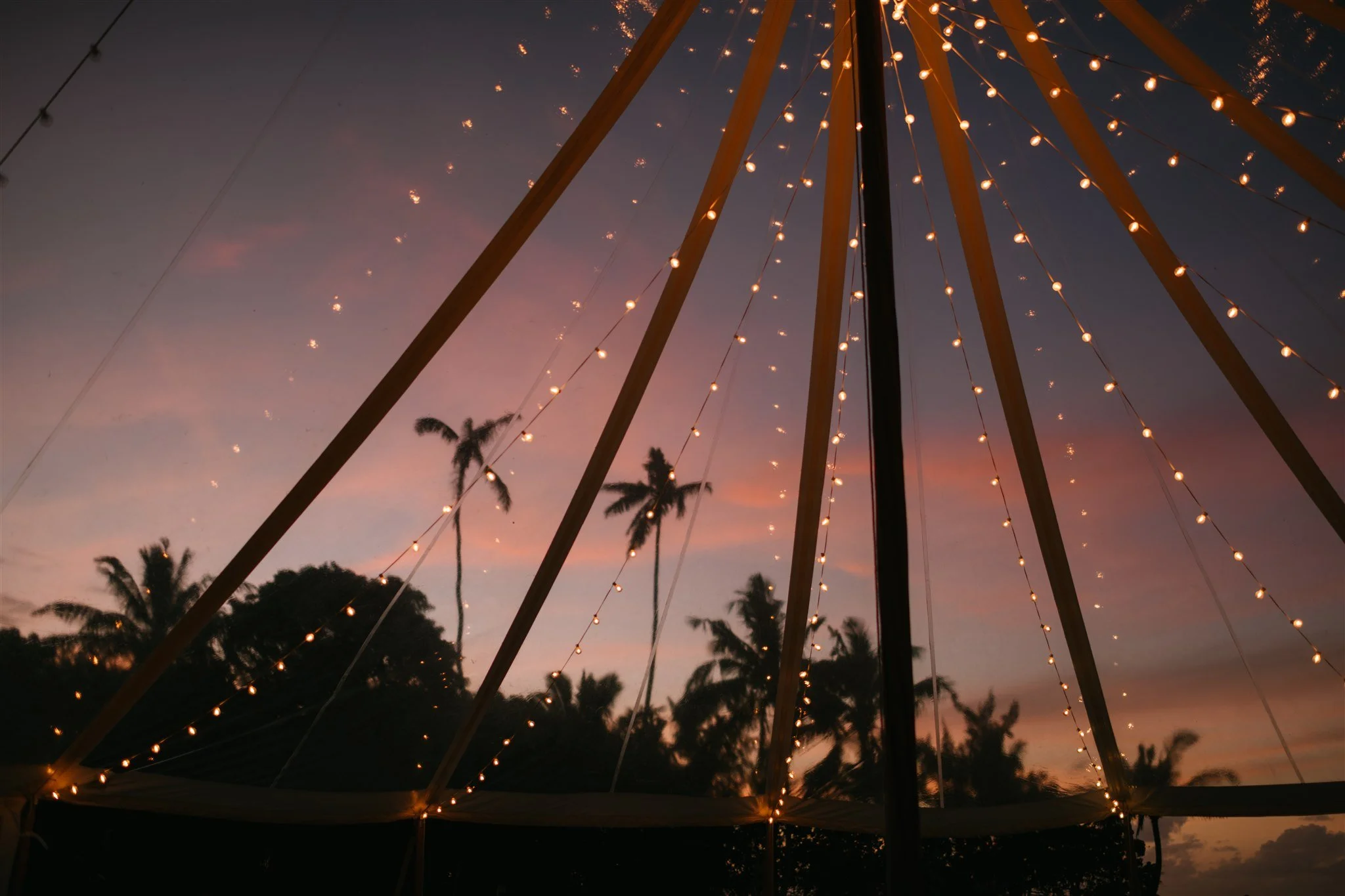 tent-string-lights-at-sunset-with-palm-trees.jpg