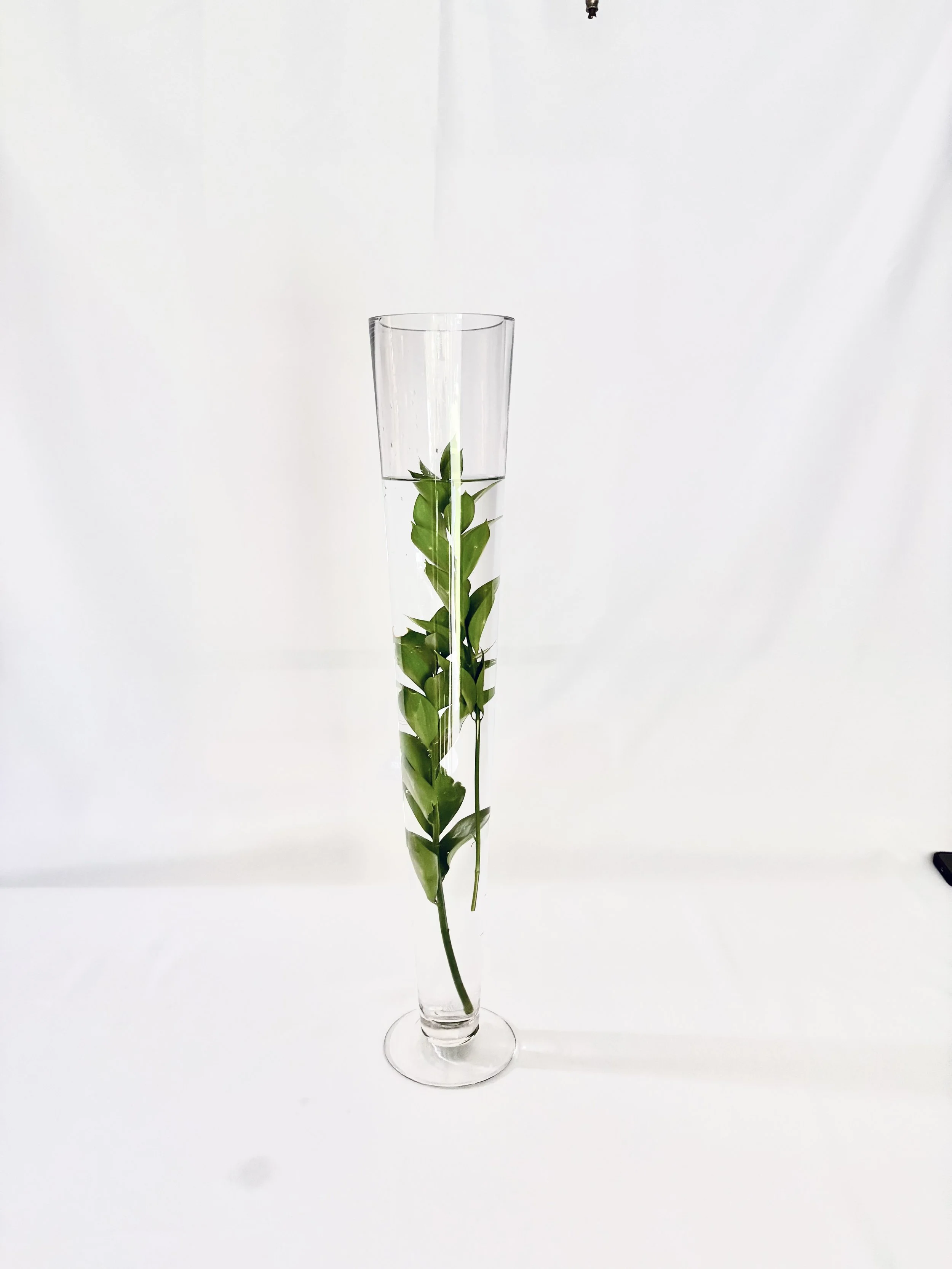 2ft Trumpet Vase