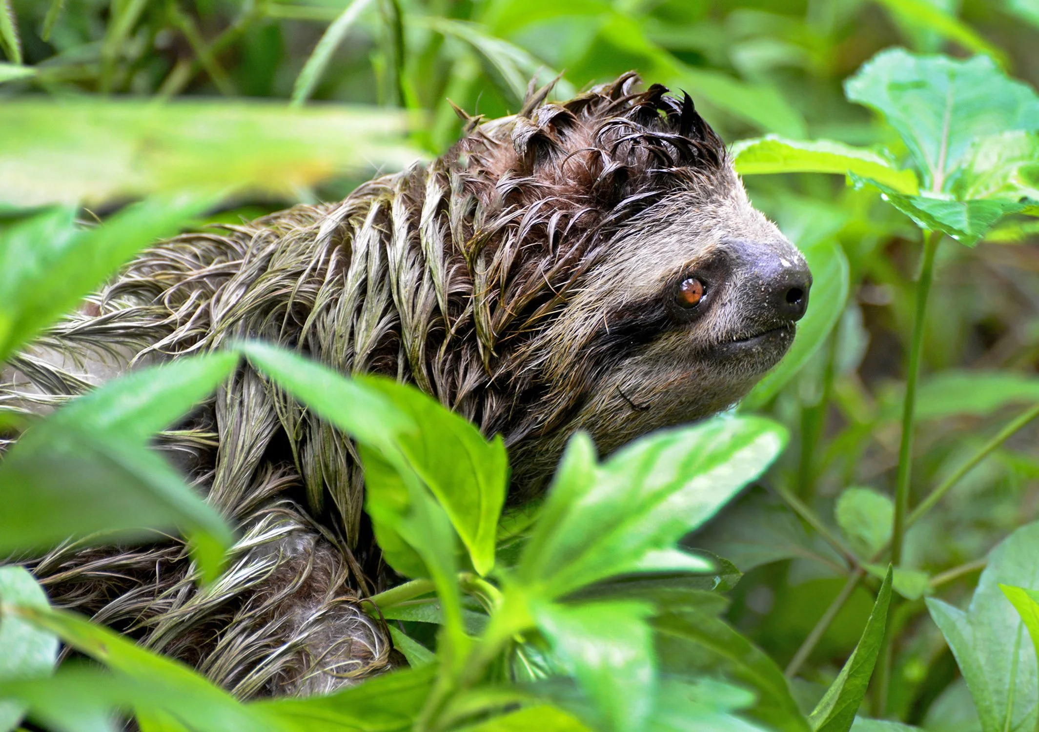 DSC_0087 bo web 5x7 sbb.jpg