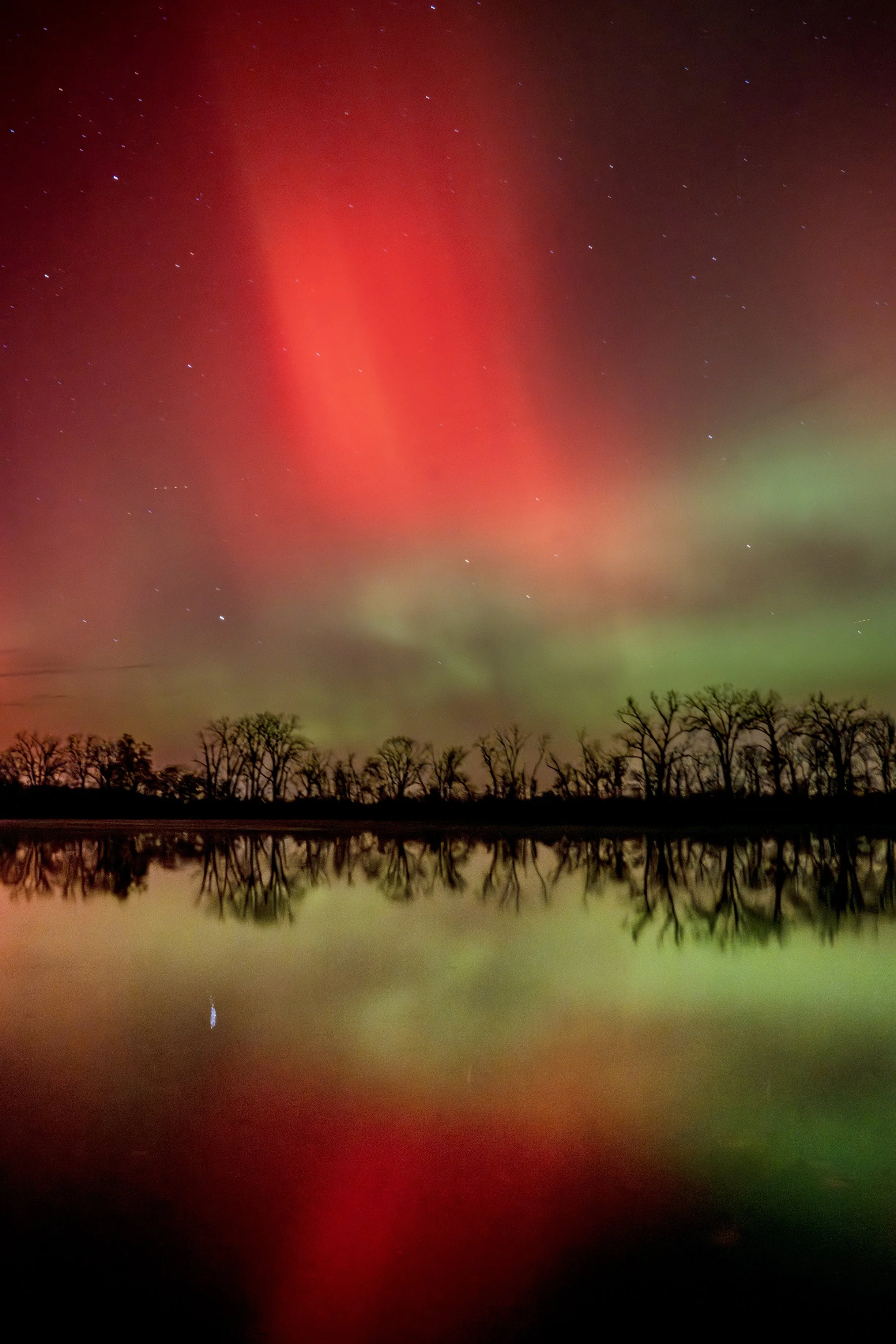 DSC08232 for  22 11 x14 new liter fbbf-Enhanced-NR-2.jpg