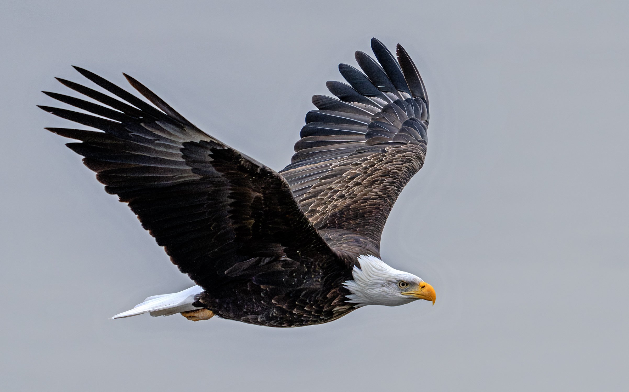 DSC02409 web bb-Enhanced-NR.jpg