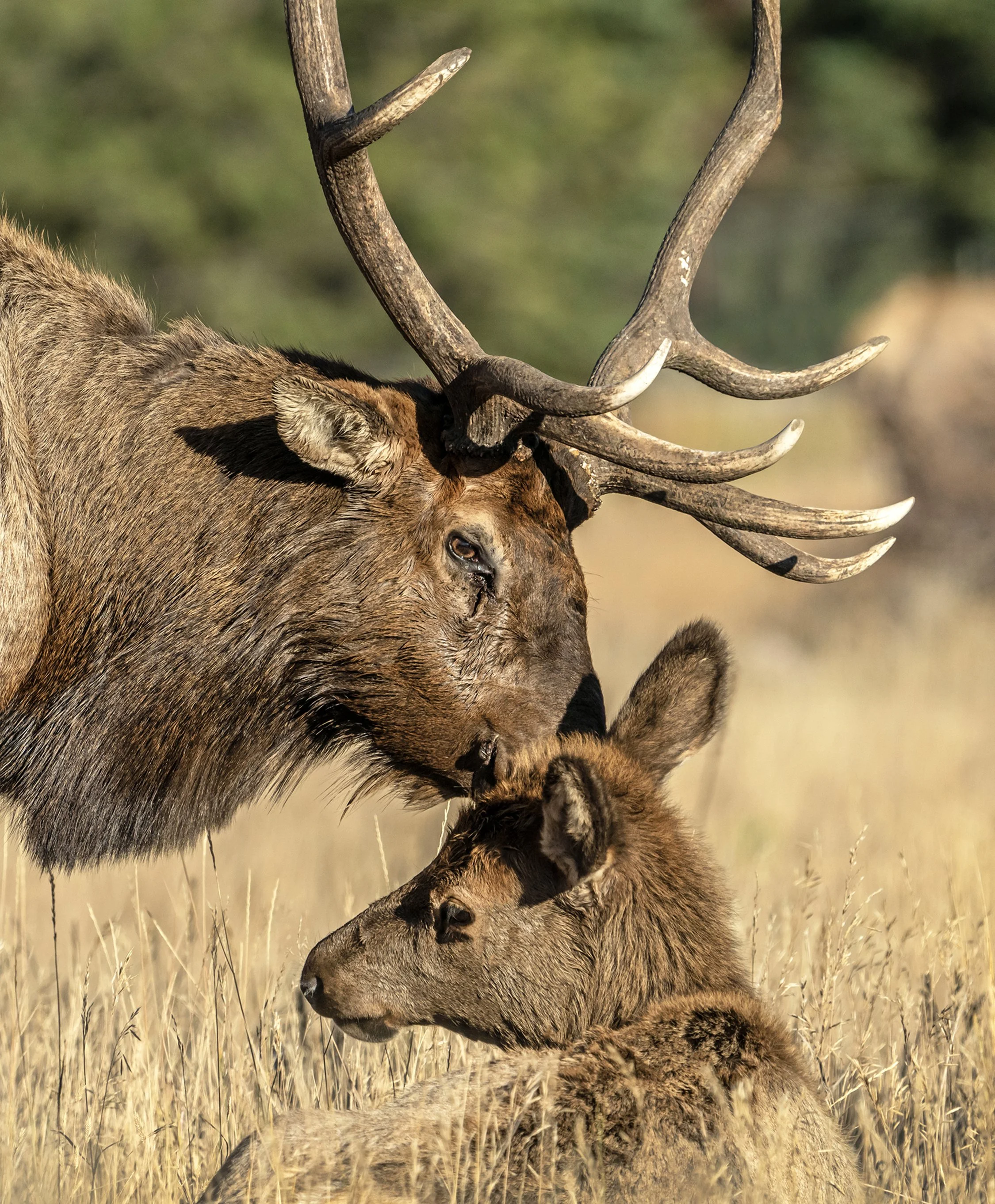 DSC05274 for 8.5x 11 newest bb.jpg