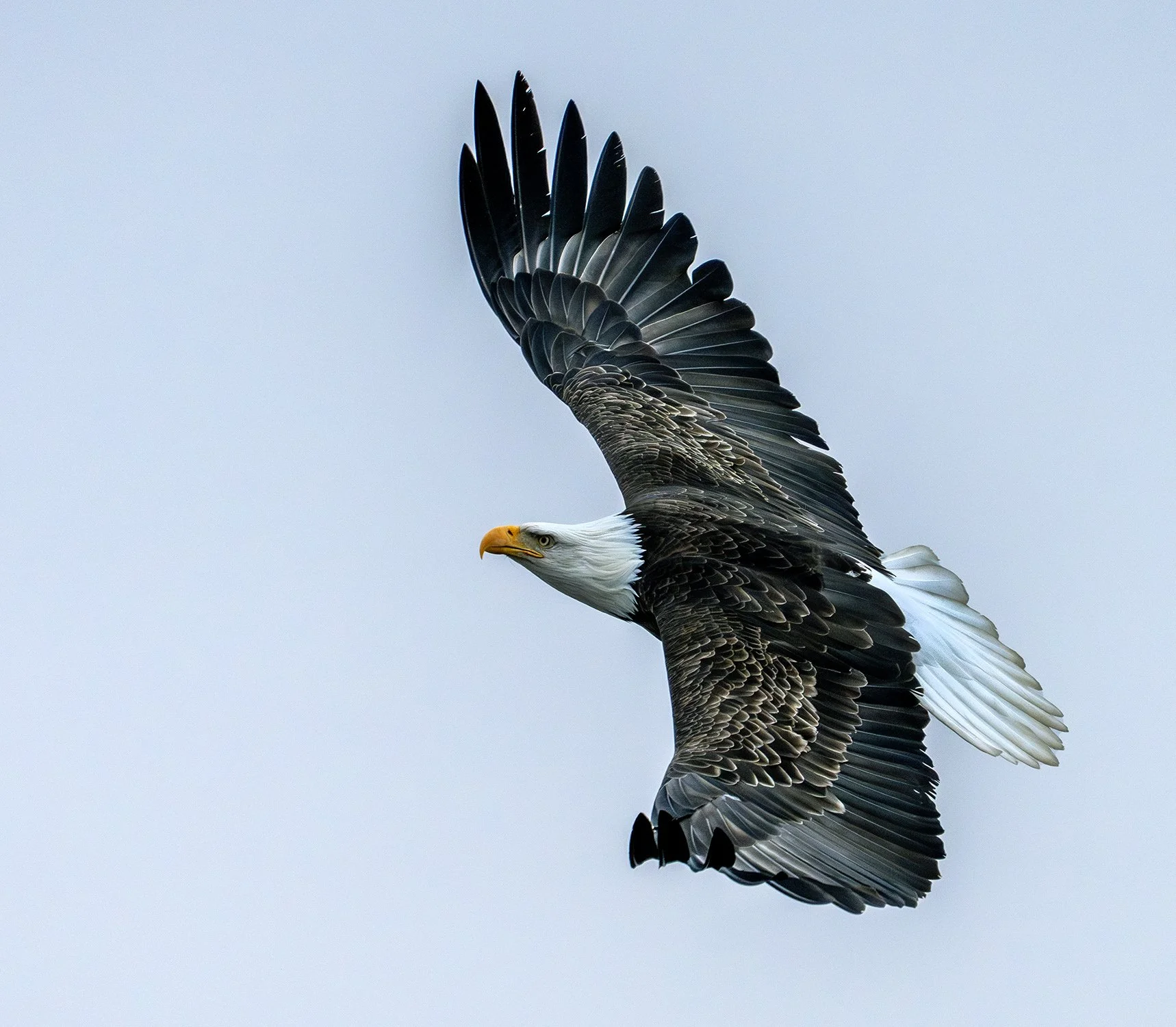 DSC02331 web bb-Enhanced-NR-.jpg