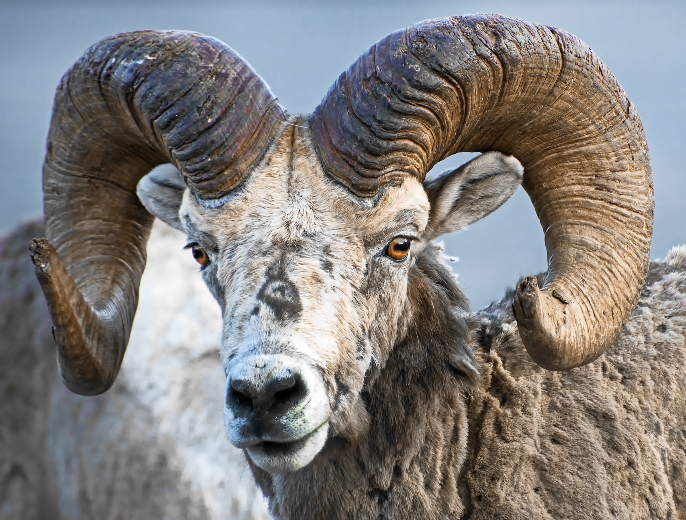 DSC_0328 web briter bb denoise.jpg