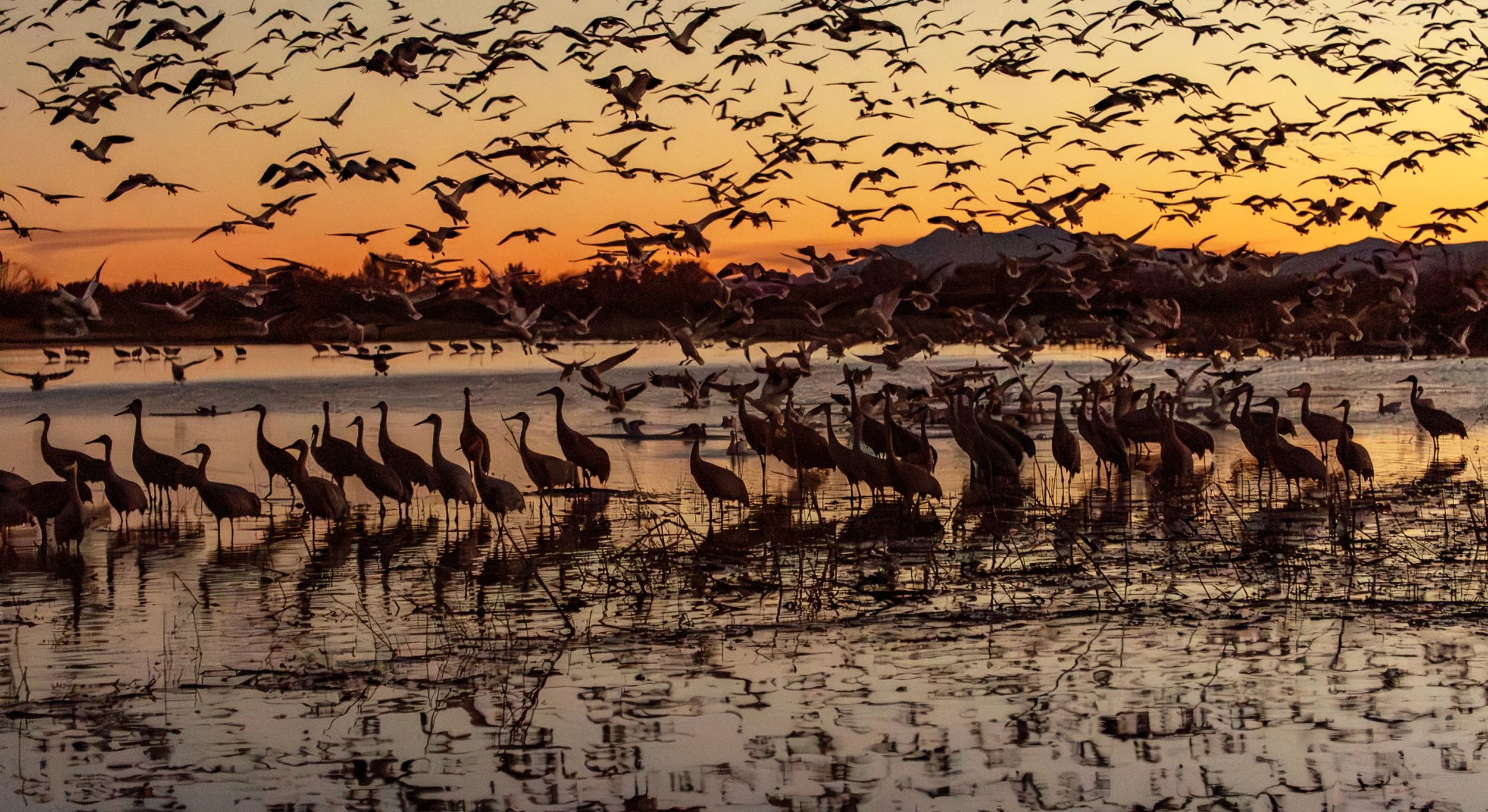 A9_01806 web mm-Enhanced-NR.jpg