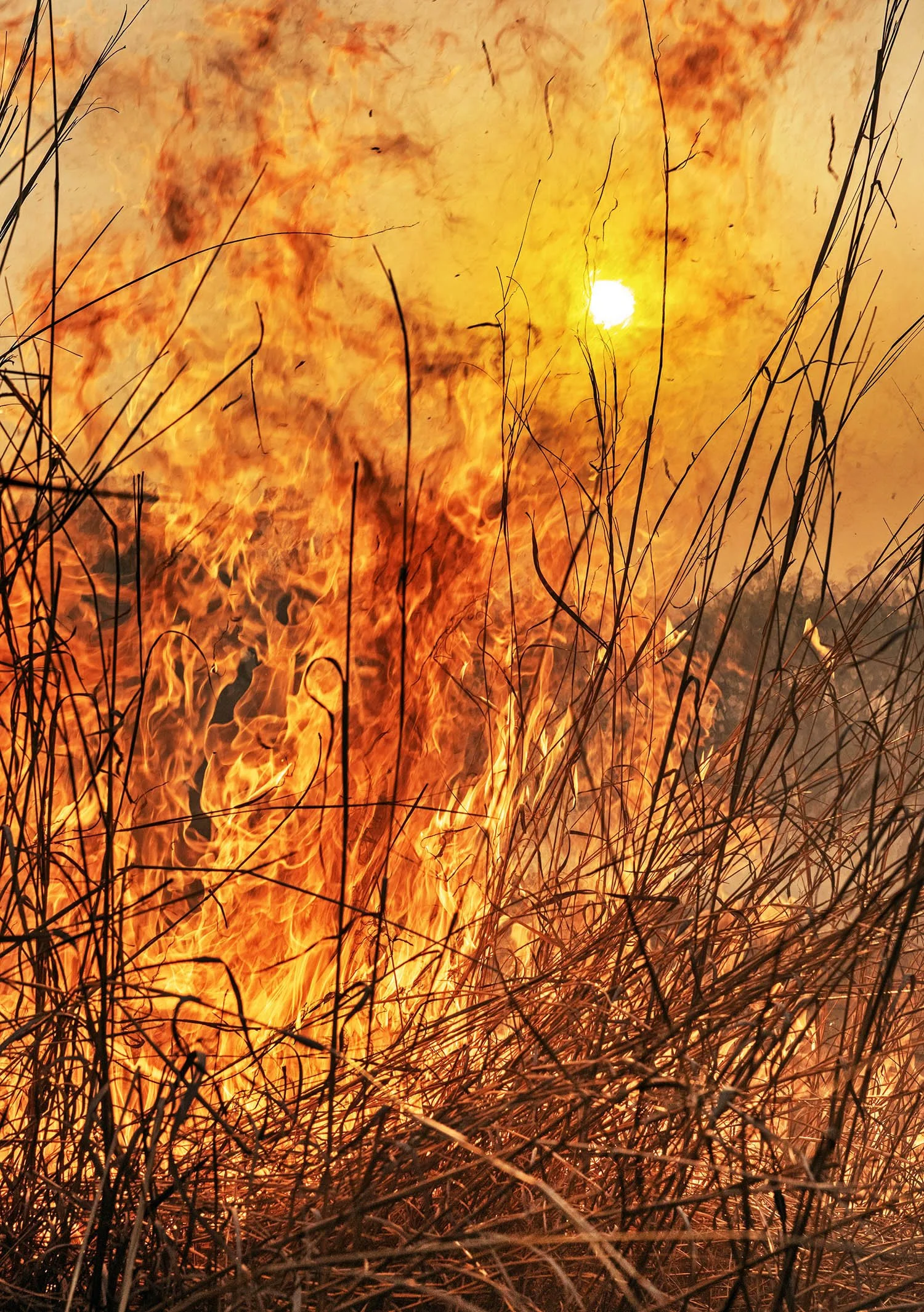 DSC_8392 web vv bb.jpg