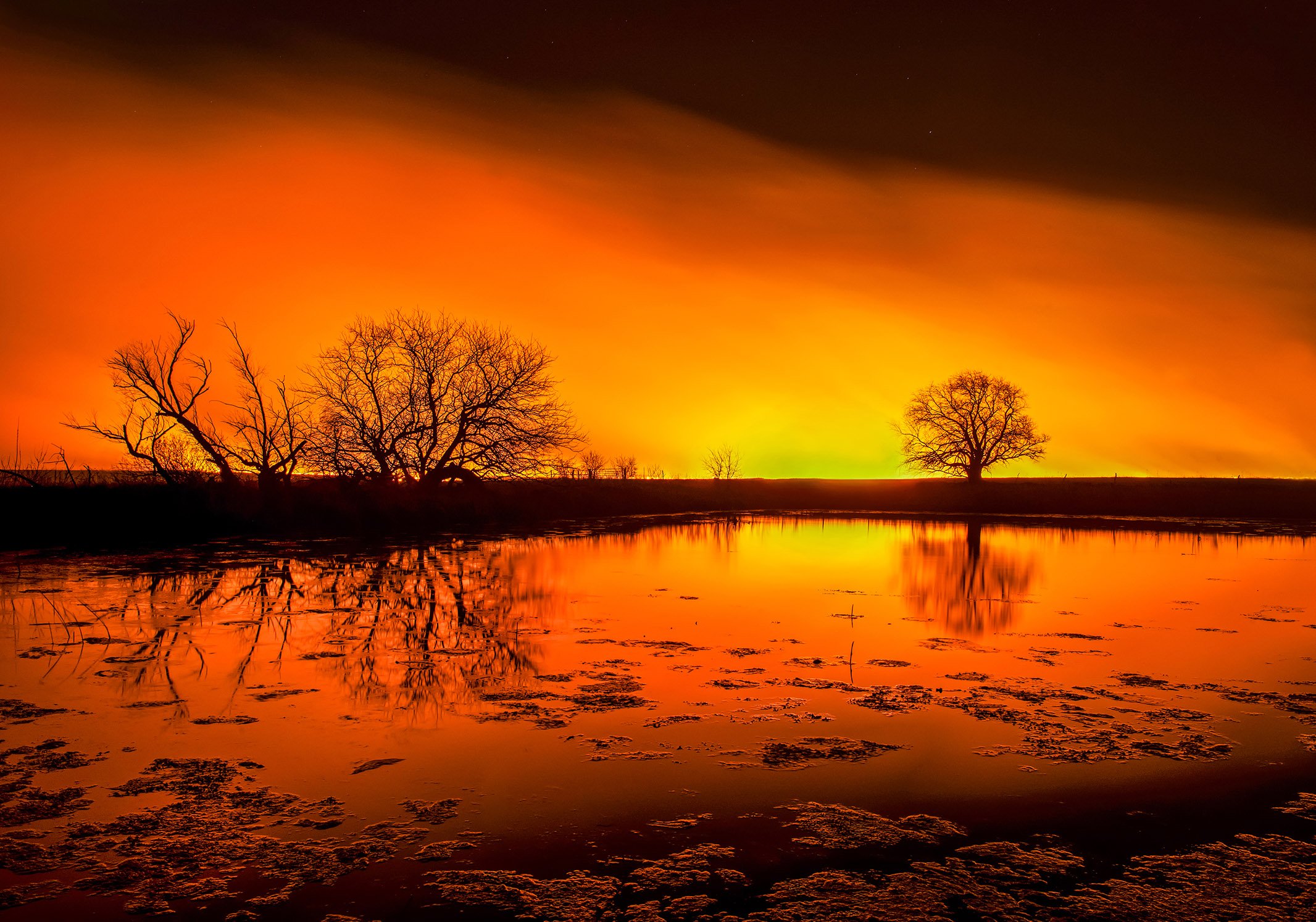 Untitled- web 1ggh fin 12x18.jpg