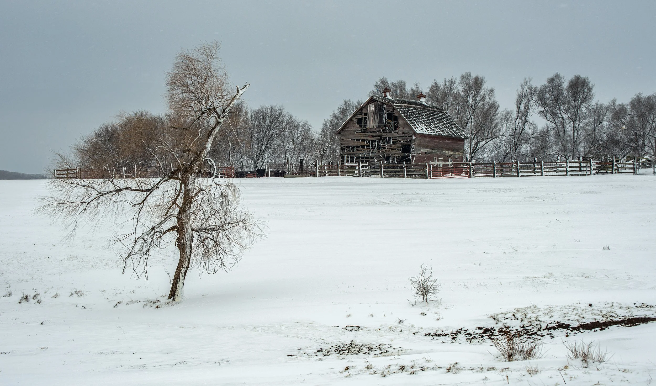 _DSC5012 web nn.jpg