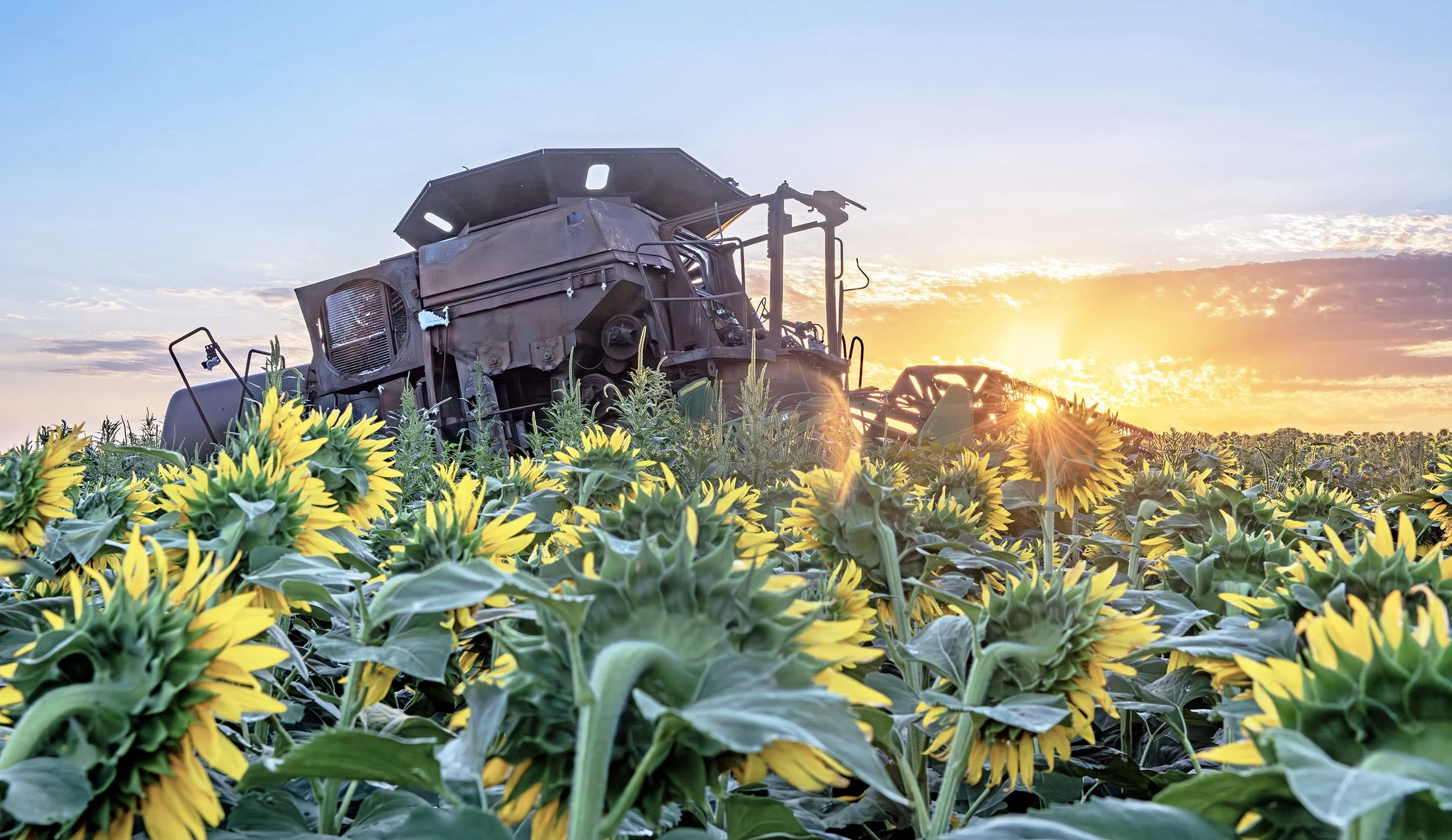 DSC_7672 web bbbbb-Enhanced-NR copy.jpg