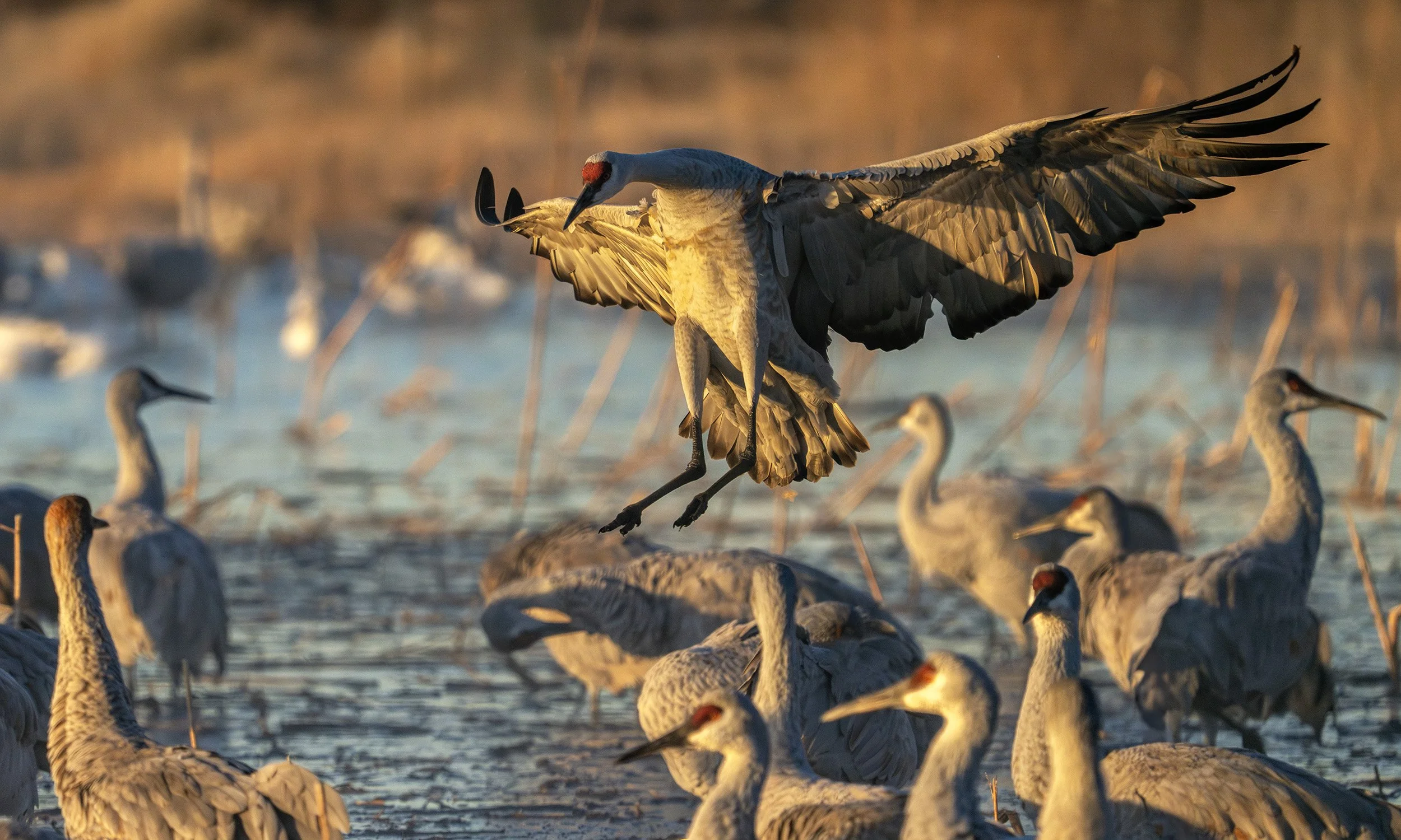 DSC07790 web bbb-Enhanced-NR.jpg