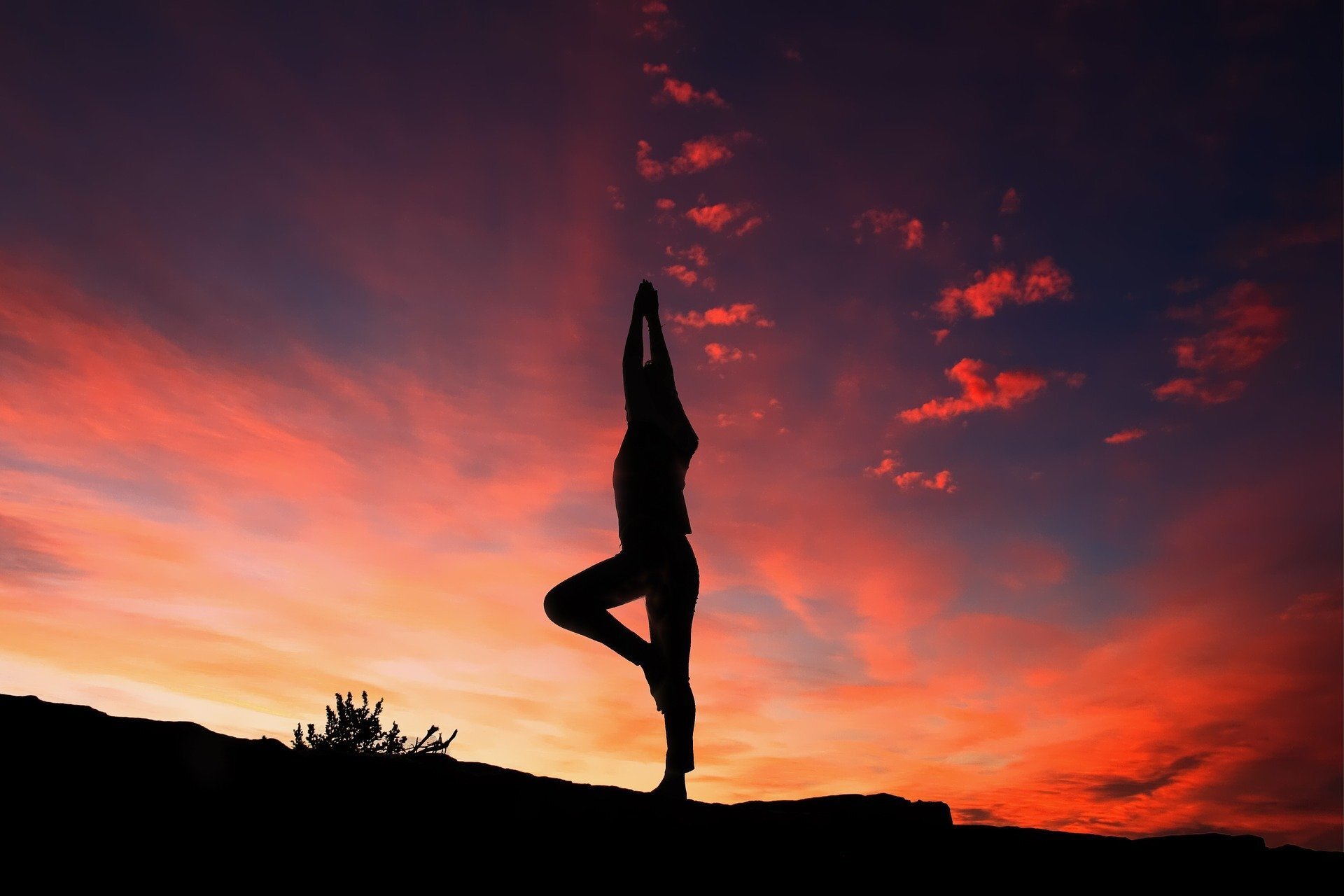 flow yoga2.jpeg