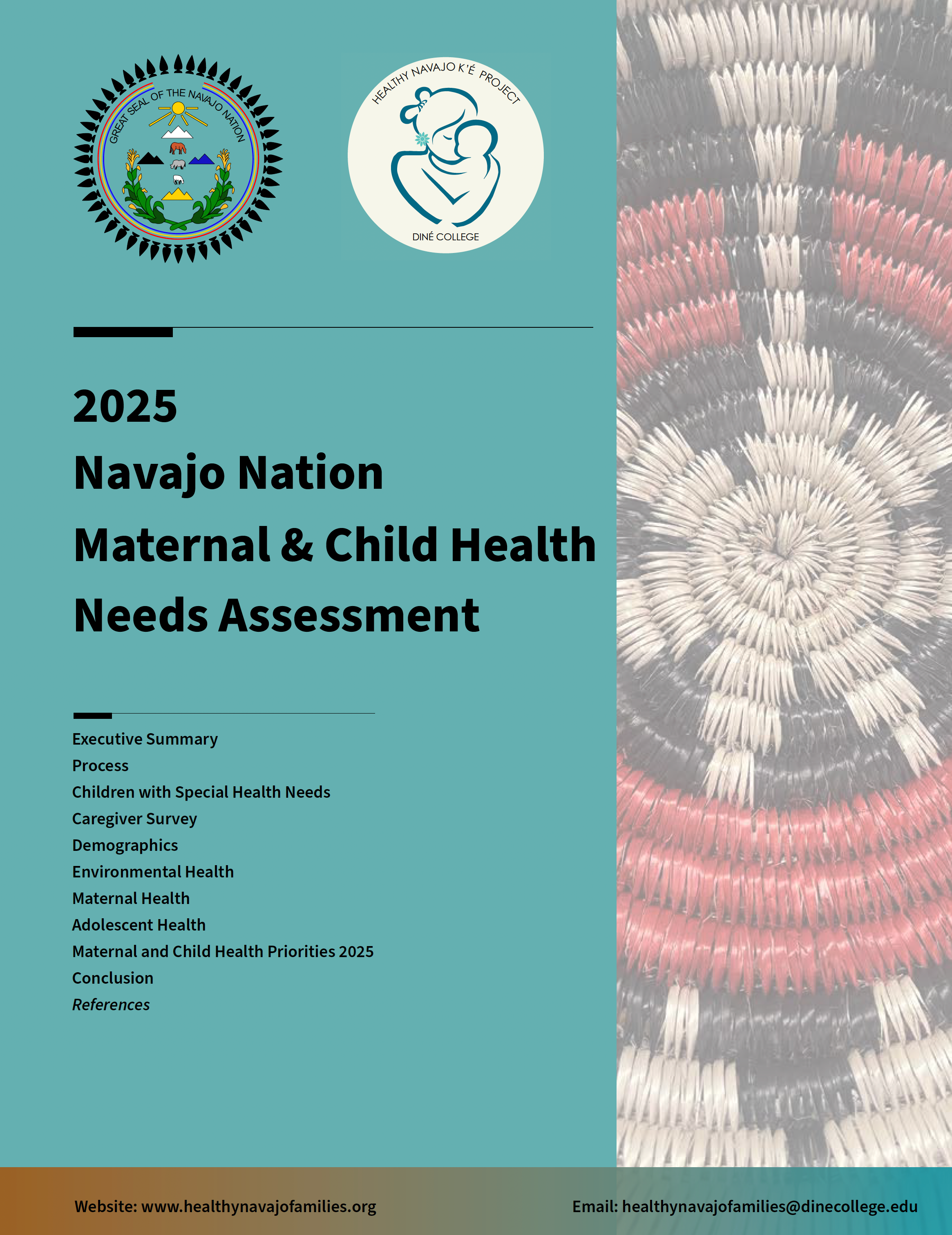 NeedsAssessment2025.ScreenCaptureCover.png