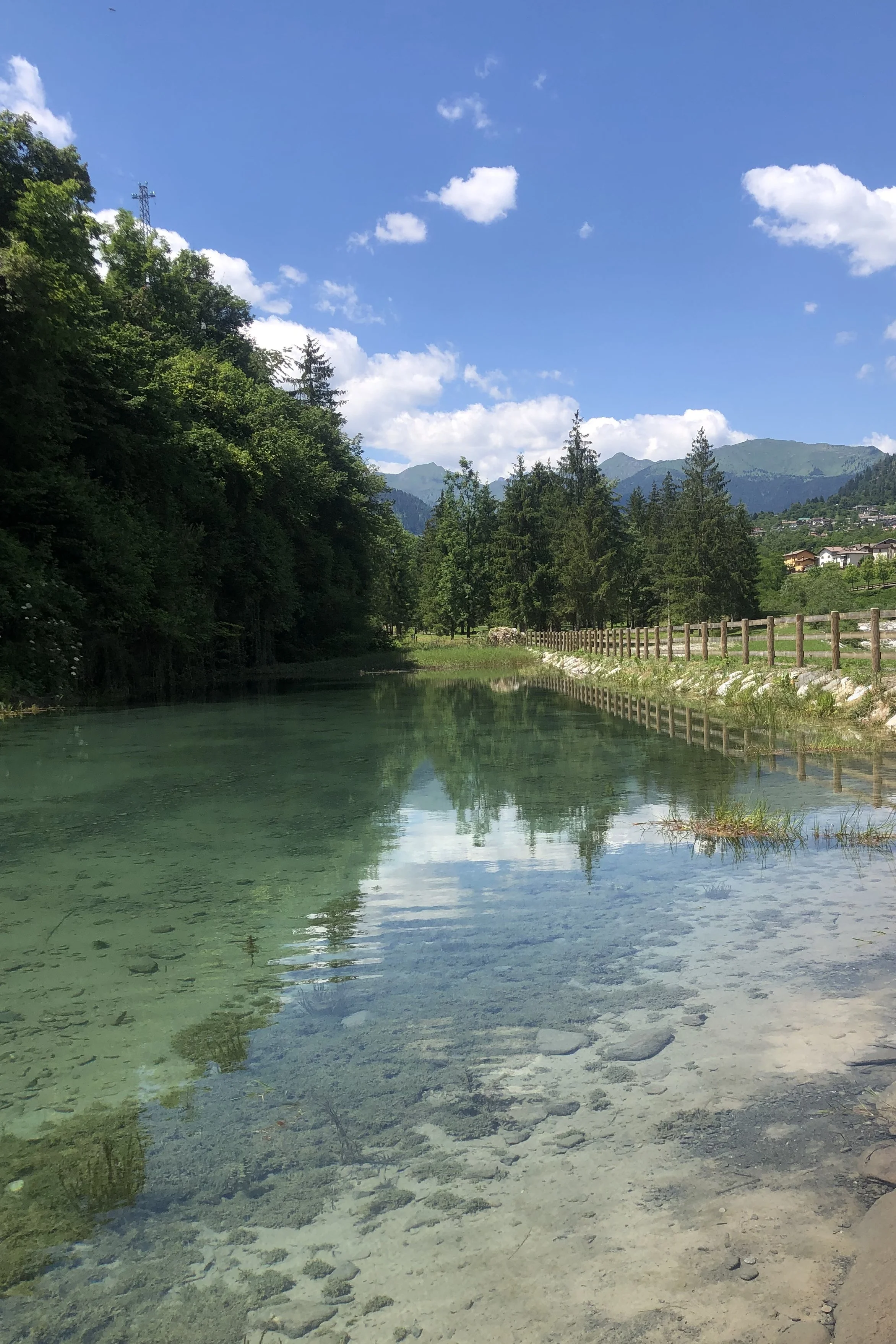 Ritiro Yoga Arta Terme
