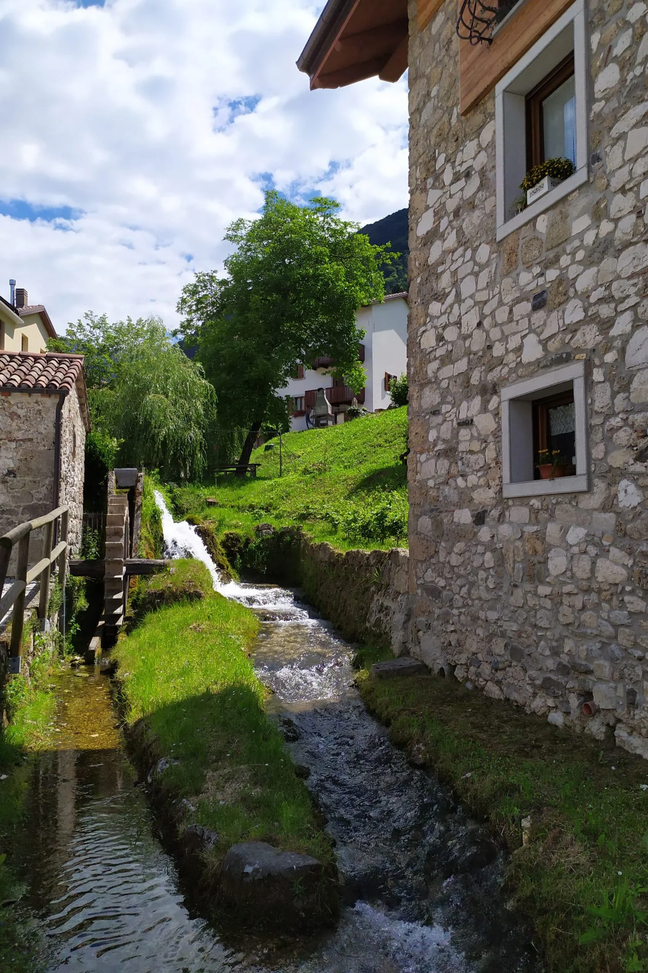 Ritiro Yoga Arta Terme