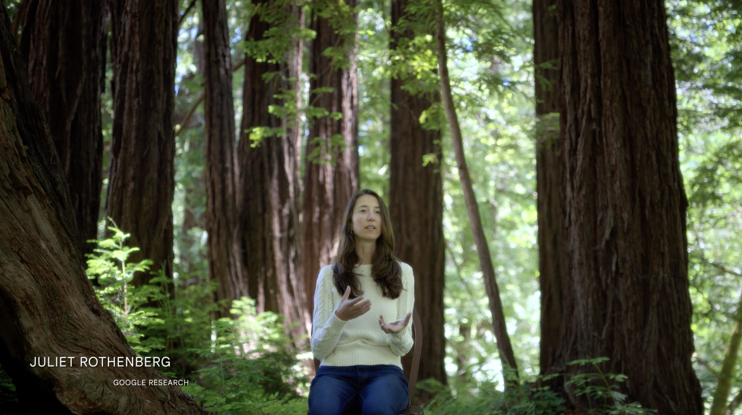 Google FireSat Juliet Rothenberg.png