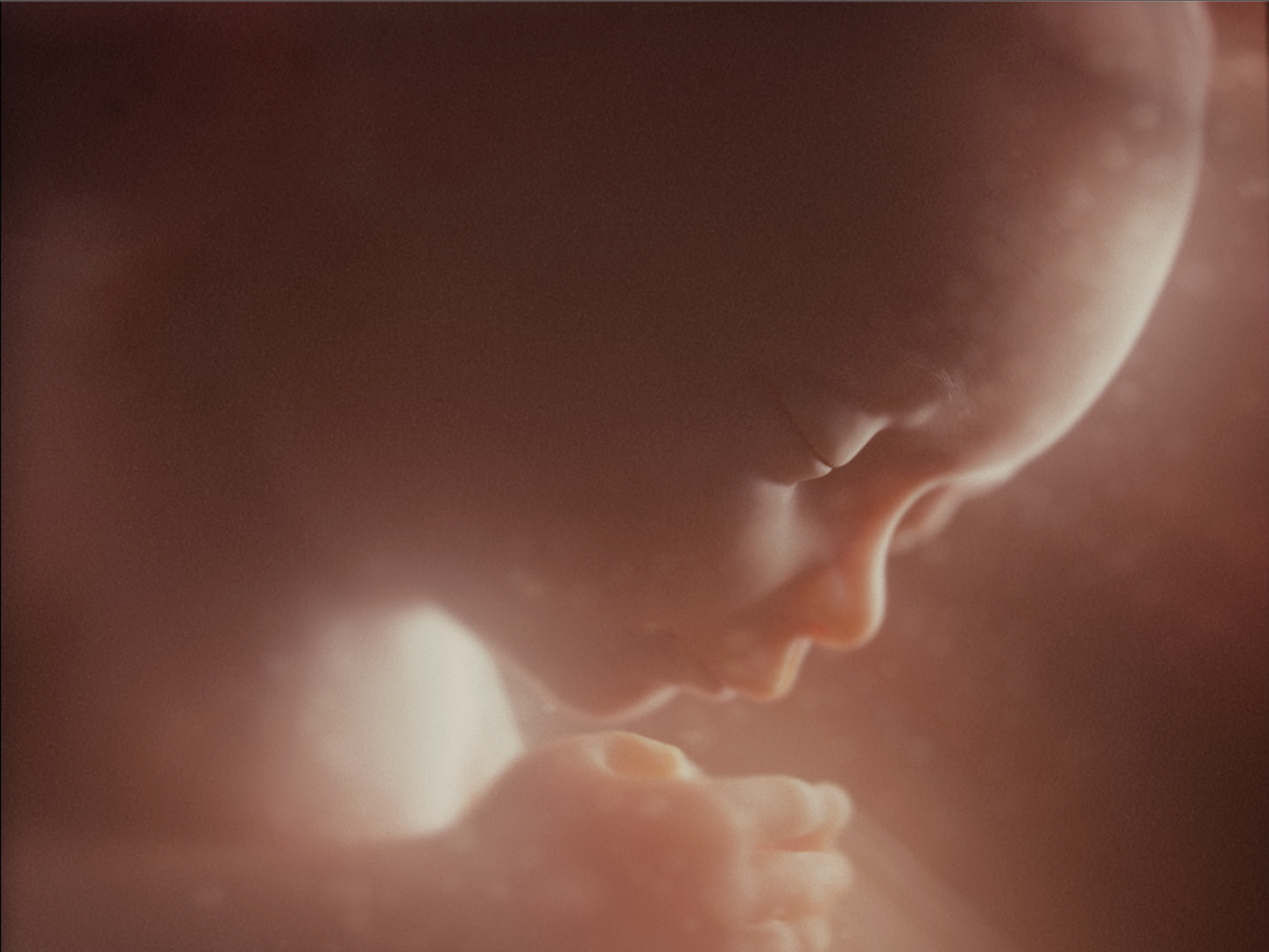 Final CG Womb Render from VFX (2022)