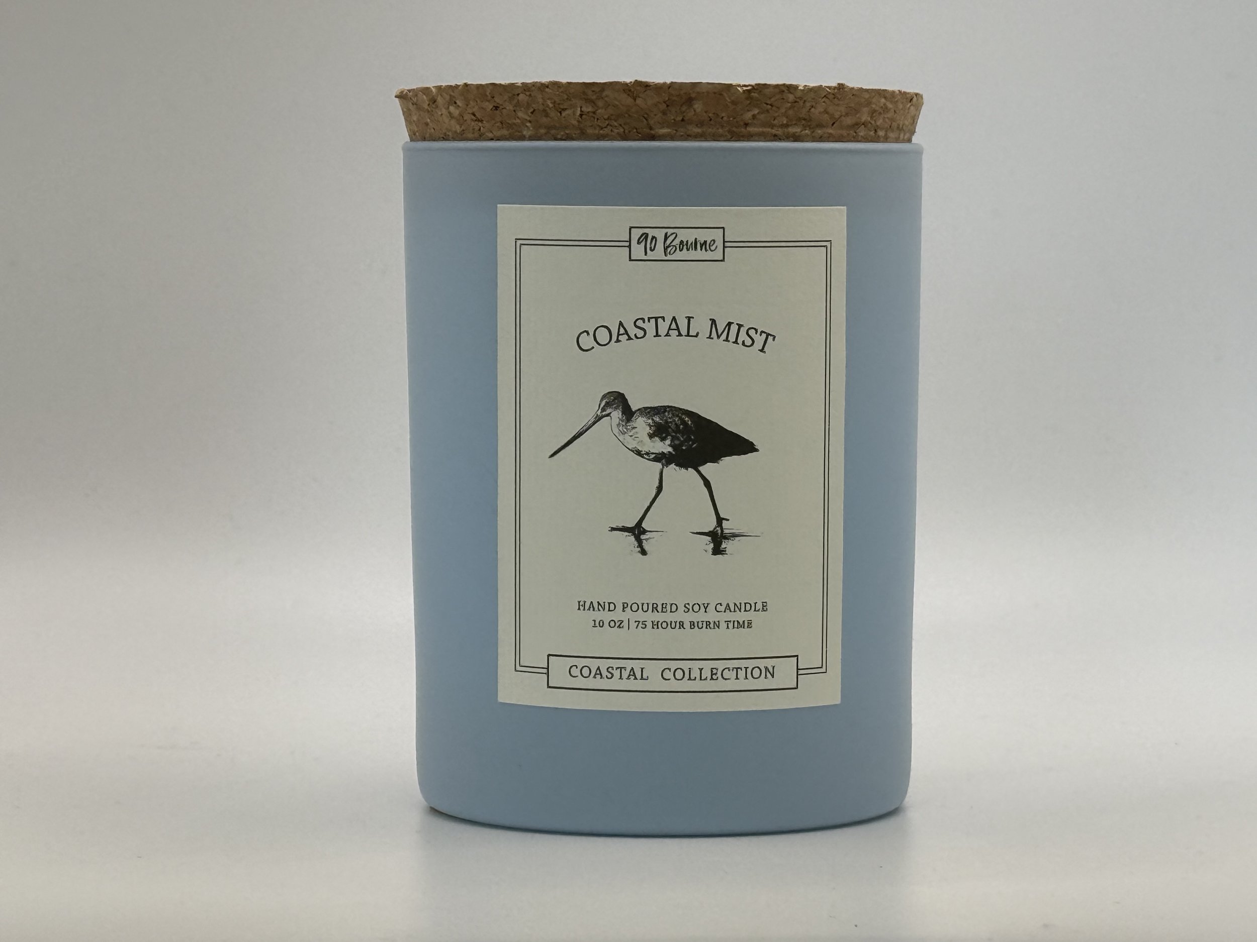Coastal Mist.jpg