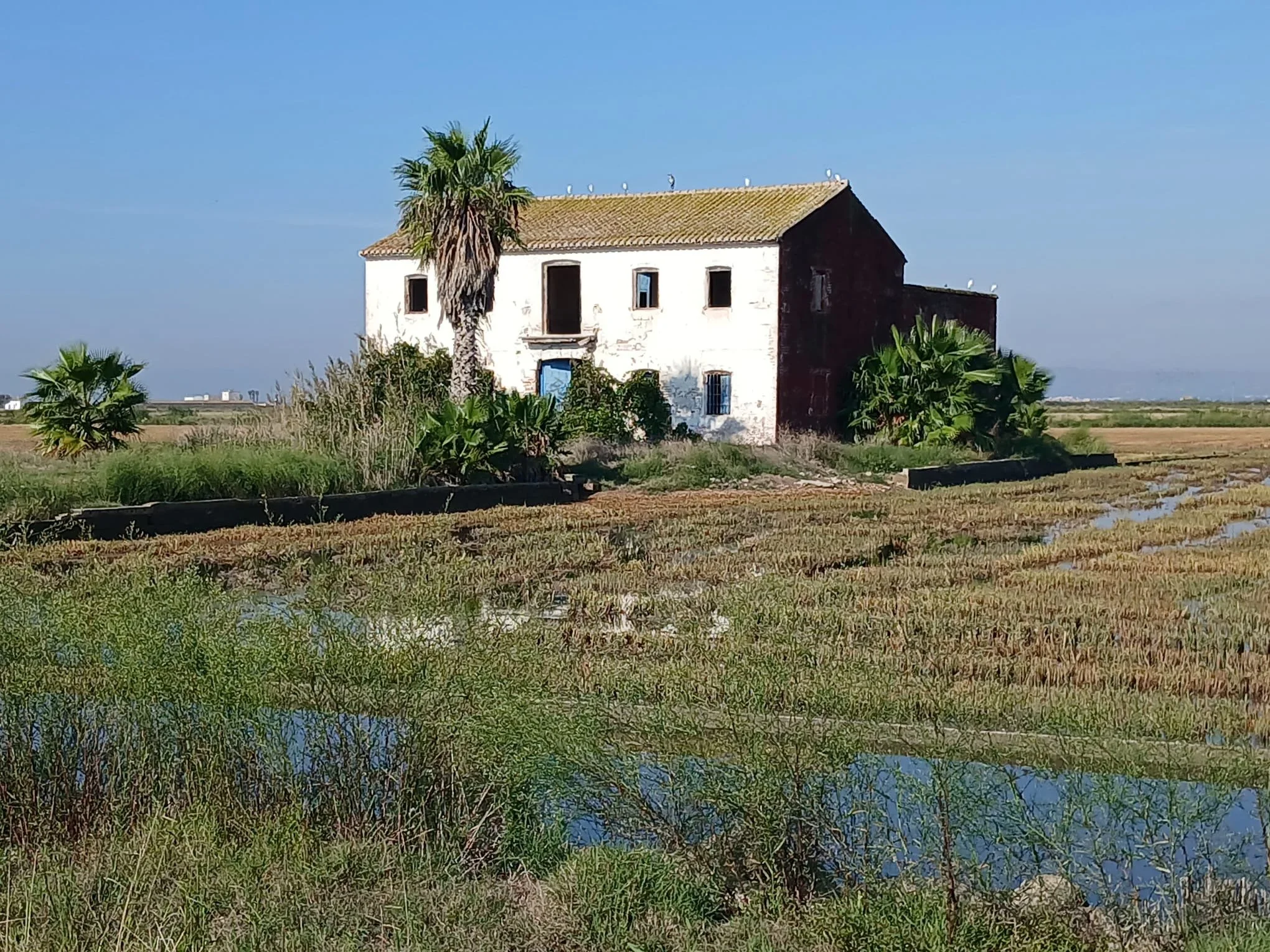 Ressonàncies entre séquies