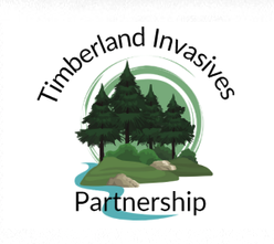Invasives, Water Quality and Your Shoreline