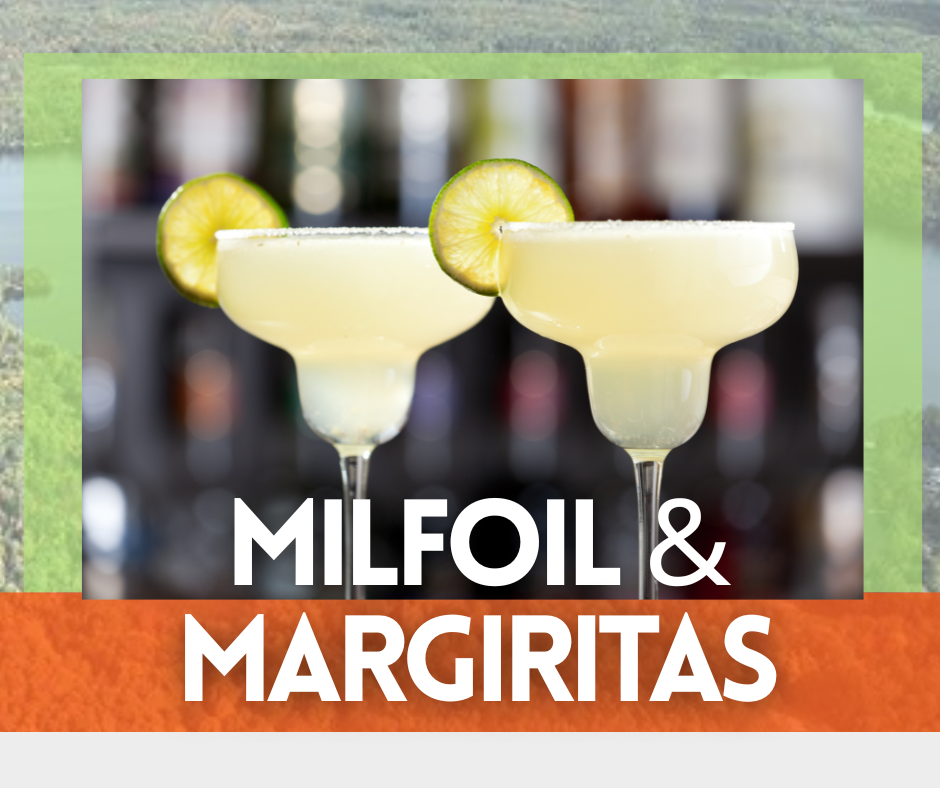 Milfoil and Margaritas