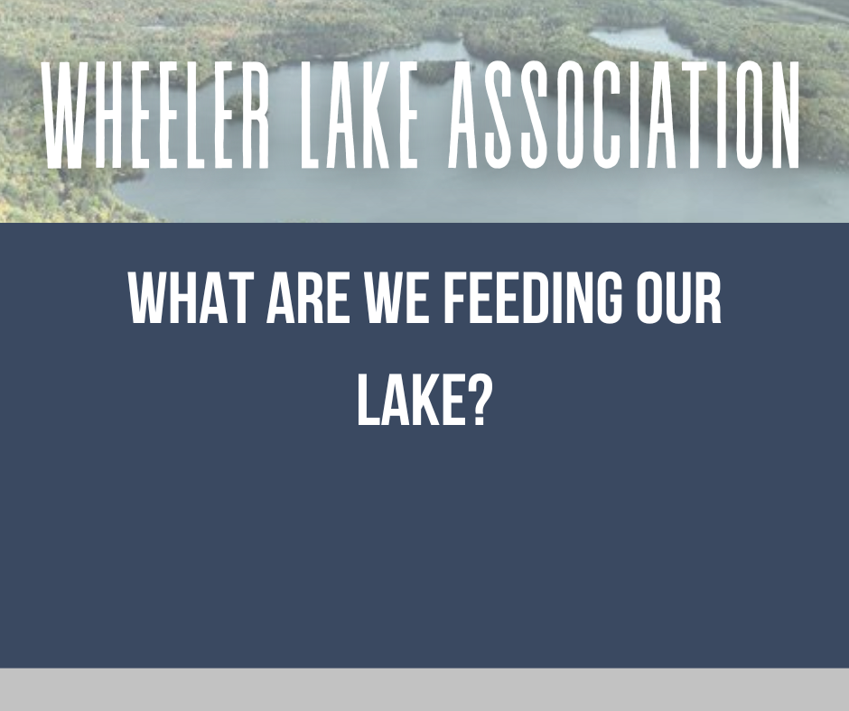 What are we feeding Wheeler Lake?