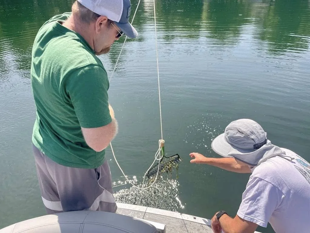 WLA Aquatic Invasives Discovery Day