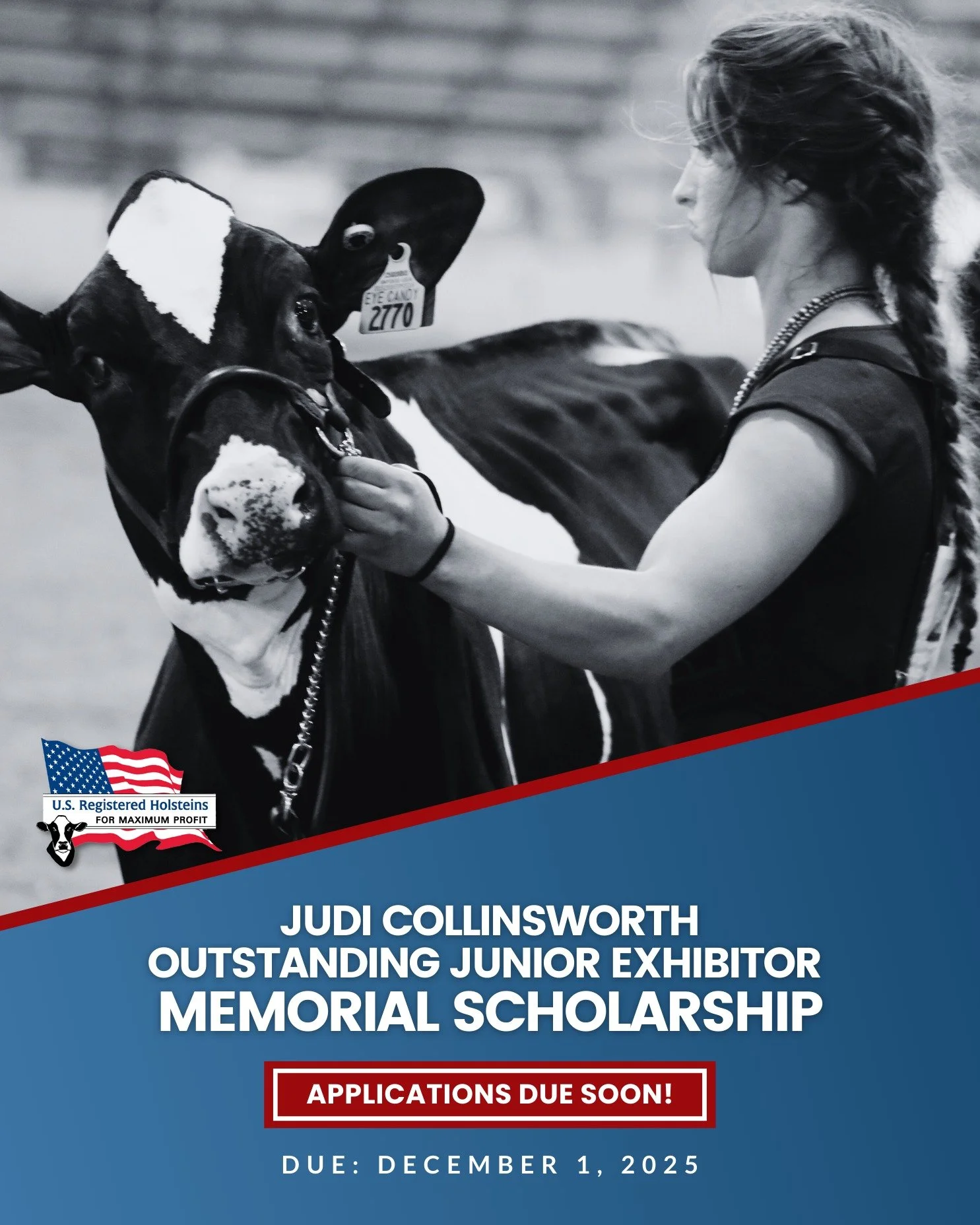 The Judi Collinsworth Outstanding Junior Exhibitor Memorial Scholarship deadline is almost here. 📚🐄

This scholarship honors National Junior Holstein Show exhibitors for their passion and dedication to the Holstein industry. Click the link in our b