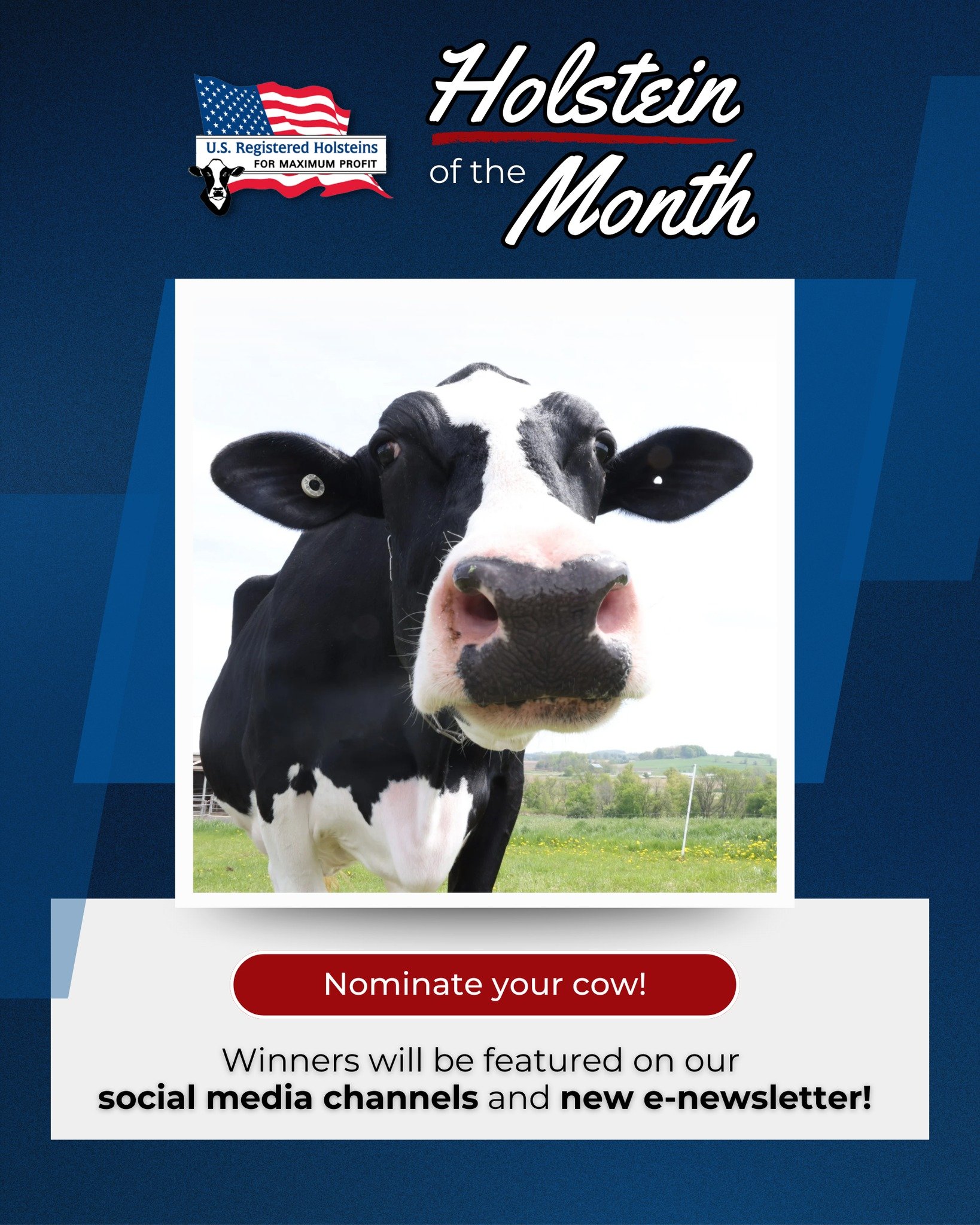 We&rsquo;re excited to launch our Holstein of the Month contest!

Submit your Registered Holstein for a chance to be featured on our social media channels and in our new e-newsletter.

You can nominate your cow for any reason, whether it&rsquo;s an o