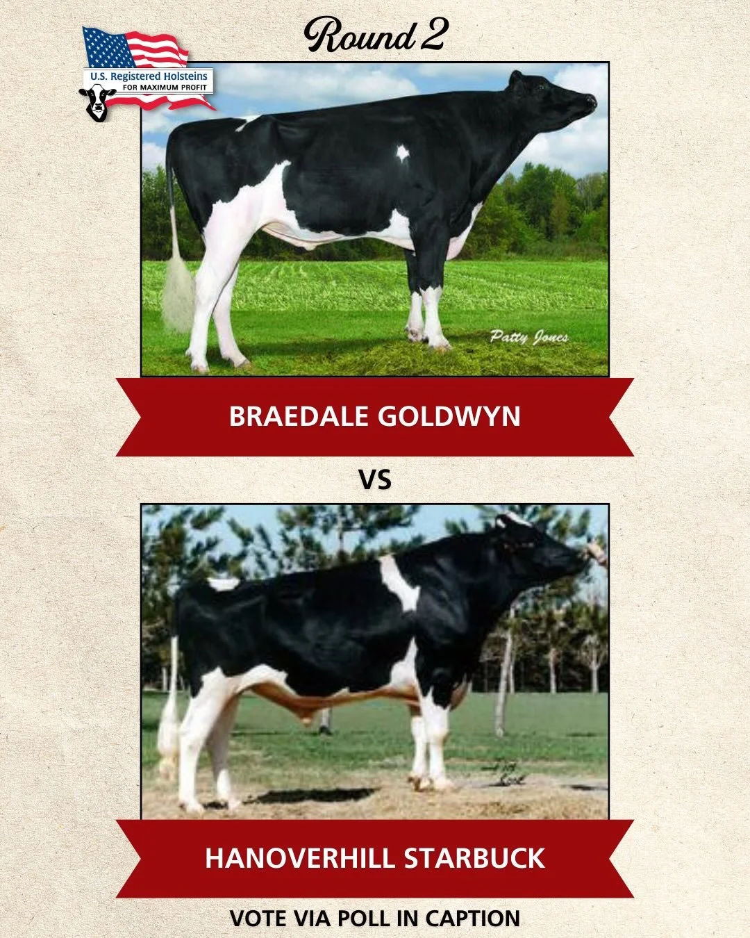 It&rsquo;s time for Round 2 of our historical bull bracket challenge!

In the last round, Round Oak Rag Apple Elevation got the nod over S-W-D Valiant and is advancing to the next stage.

Click &ldquo;vote&rdquo; below to cast your vote in the poll a